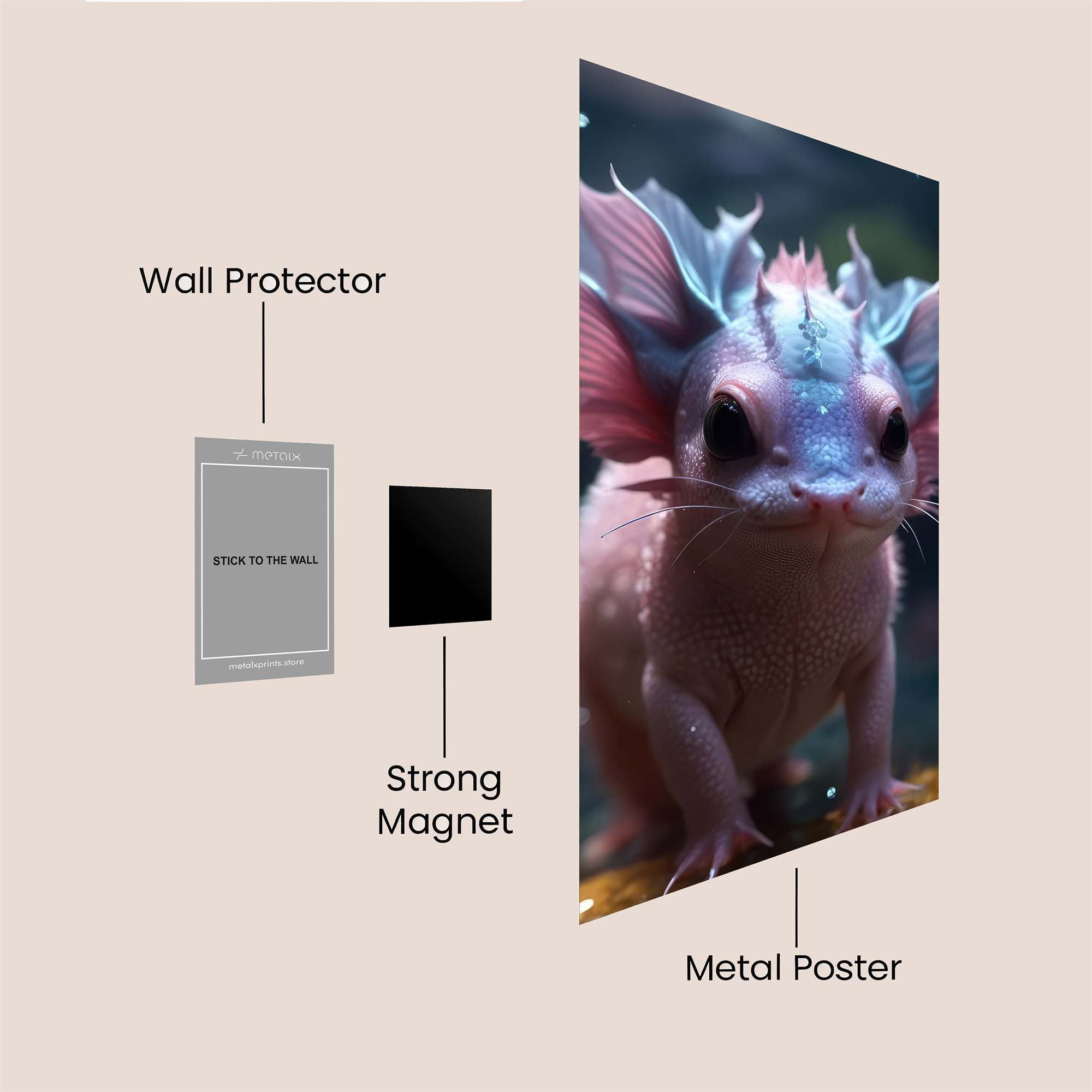 Axolotl Whimsy Safe Wall Magnetic / M