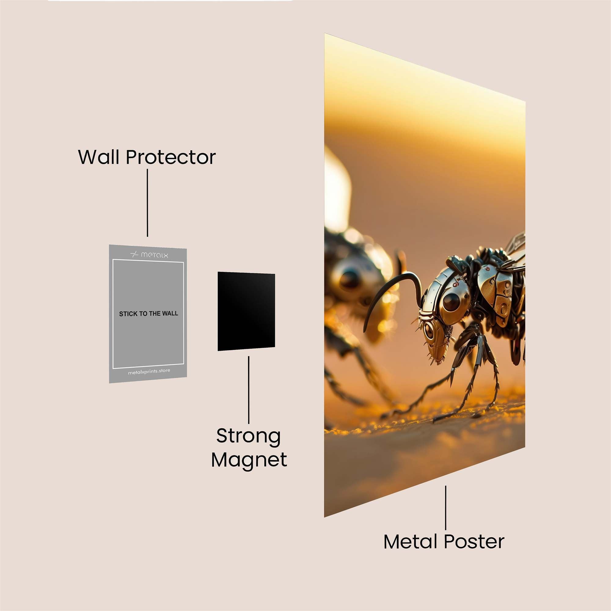 Celestial Elegance M