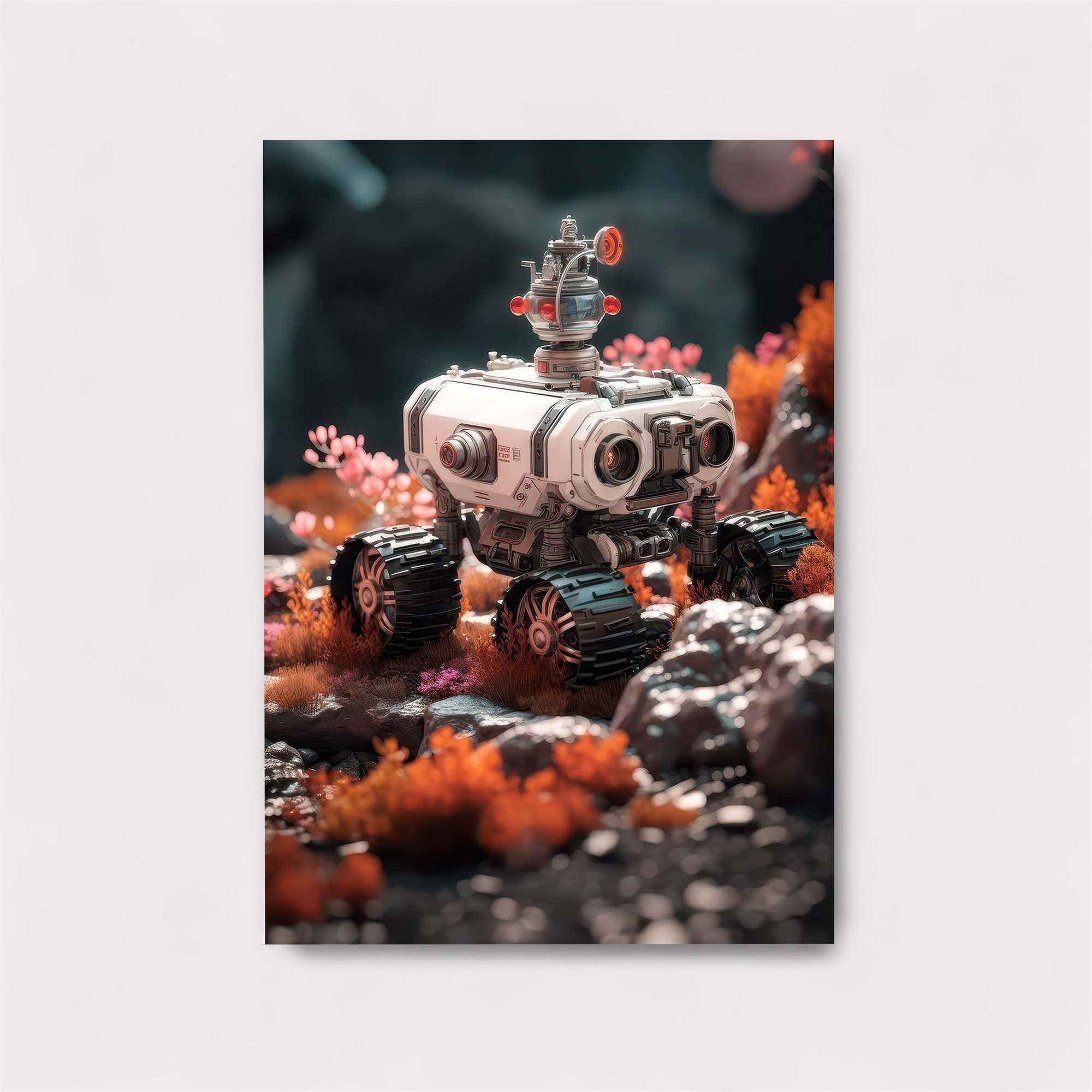 Celestial Elegance M