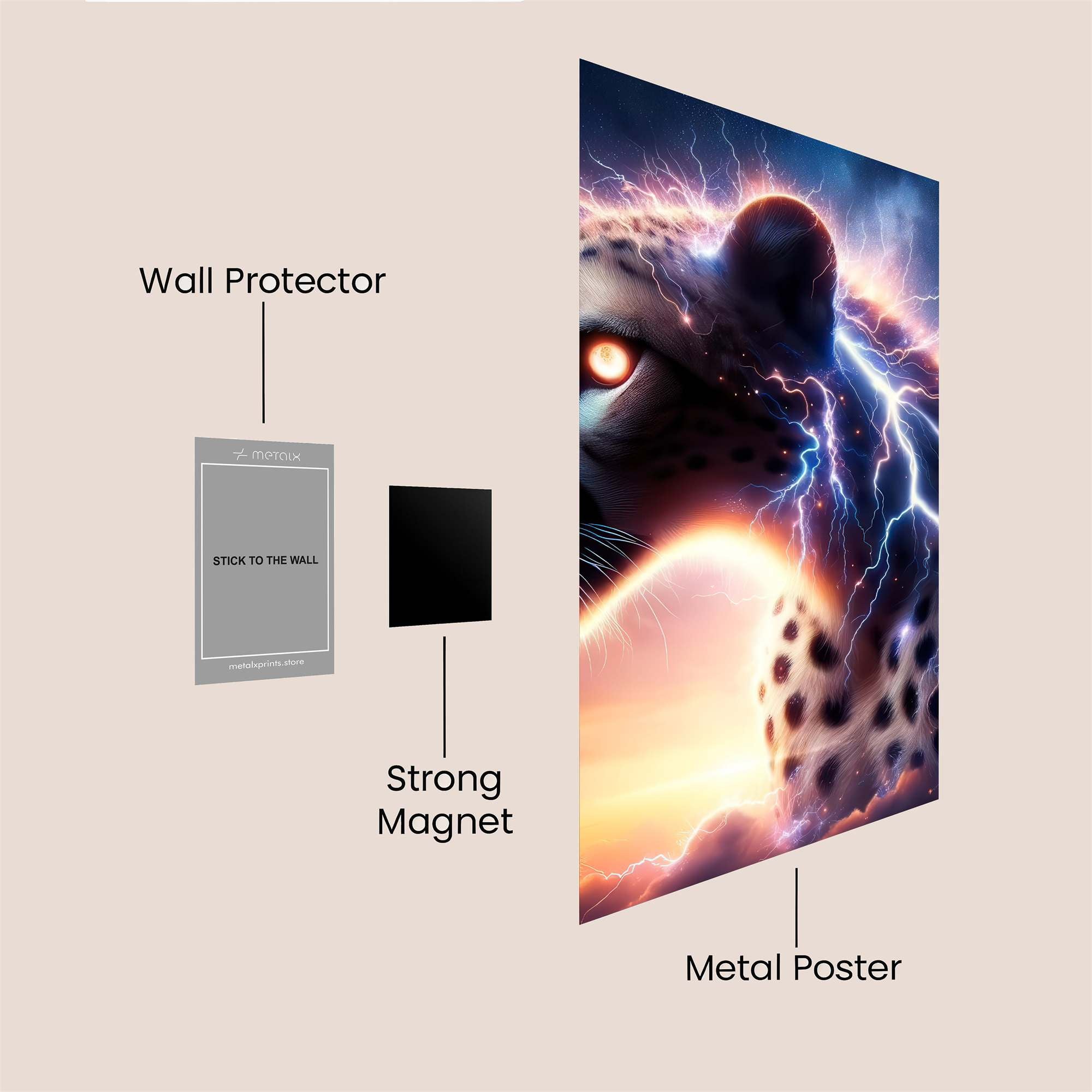 Charizard Fierce Safe Wall Magnetic / M