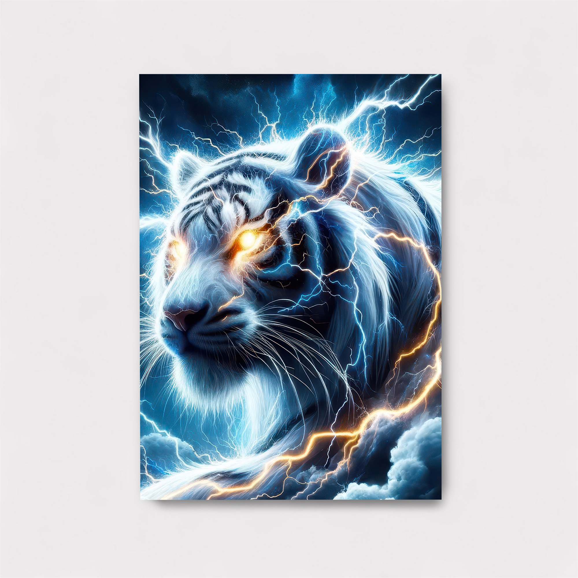 Assassin Blaze Safe Wall Magnetic / M