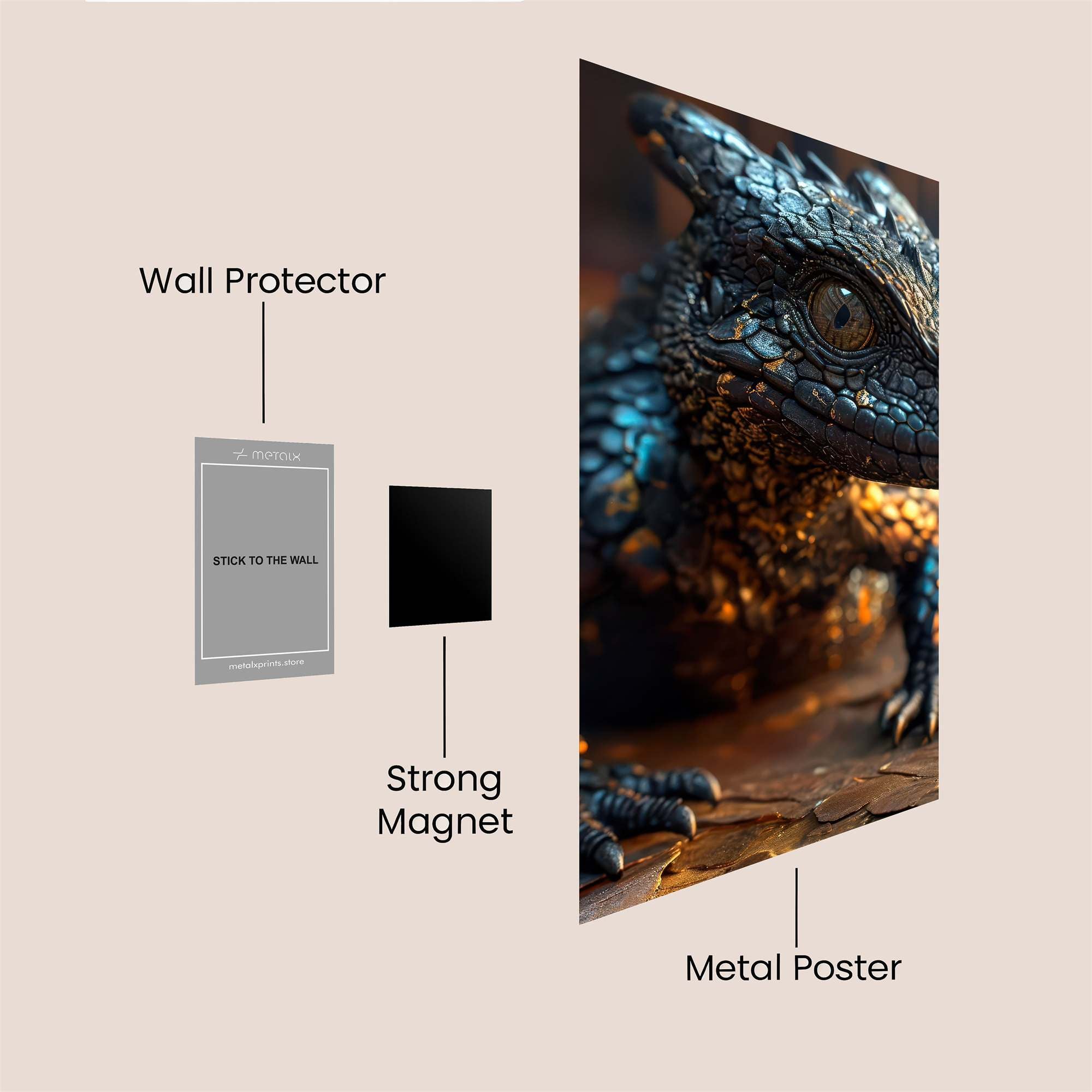 Dragon Playfulness Safe Wall Magnetic / M