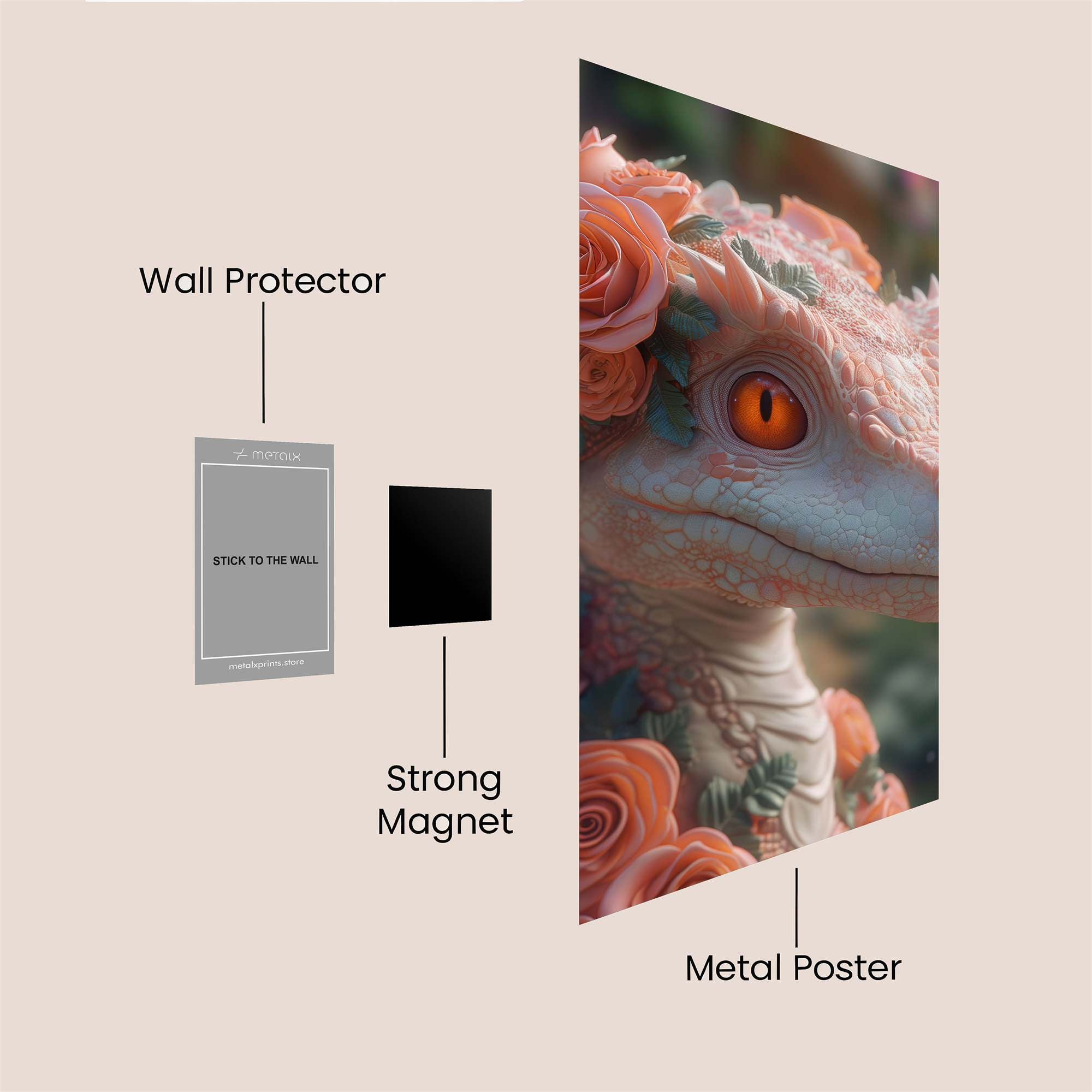 Rose Raptor Safe Wall Magnetic / M