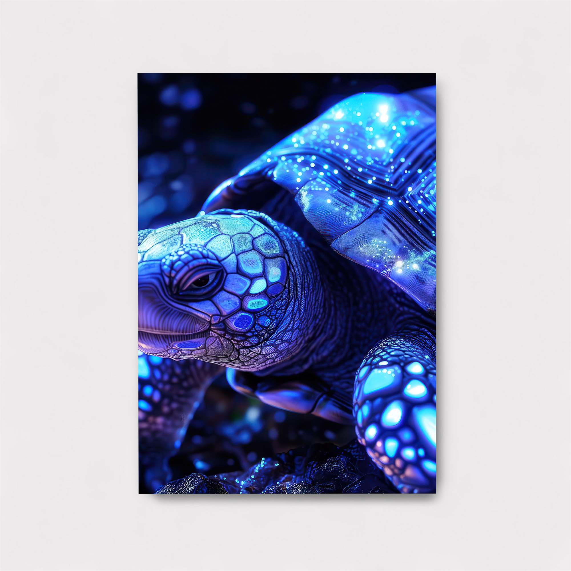 Galactic Grace Safe Wall Magnetic / M