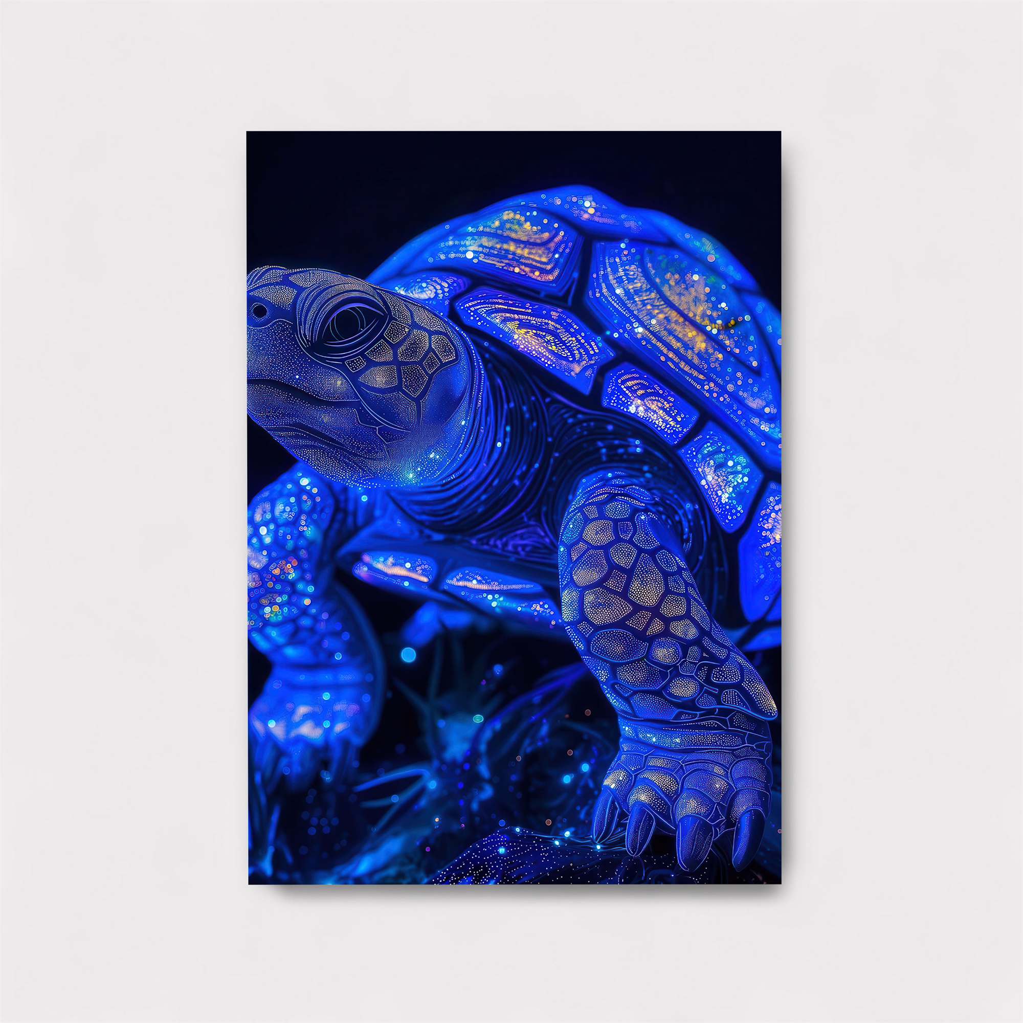Galactic Turtle Safe Wall Magnetic / M