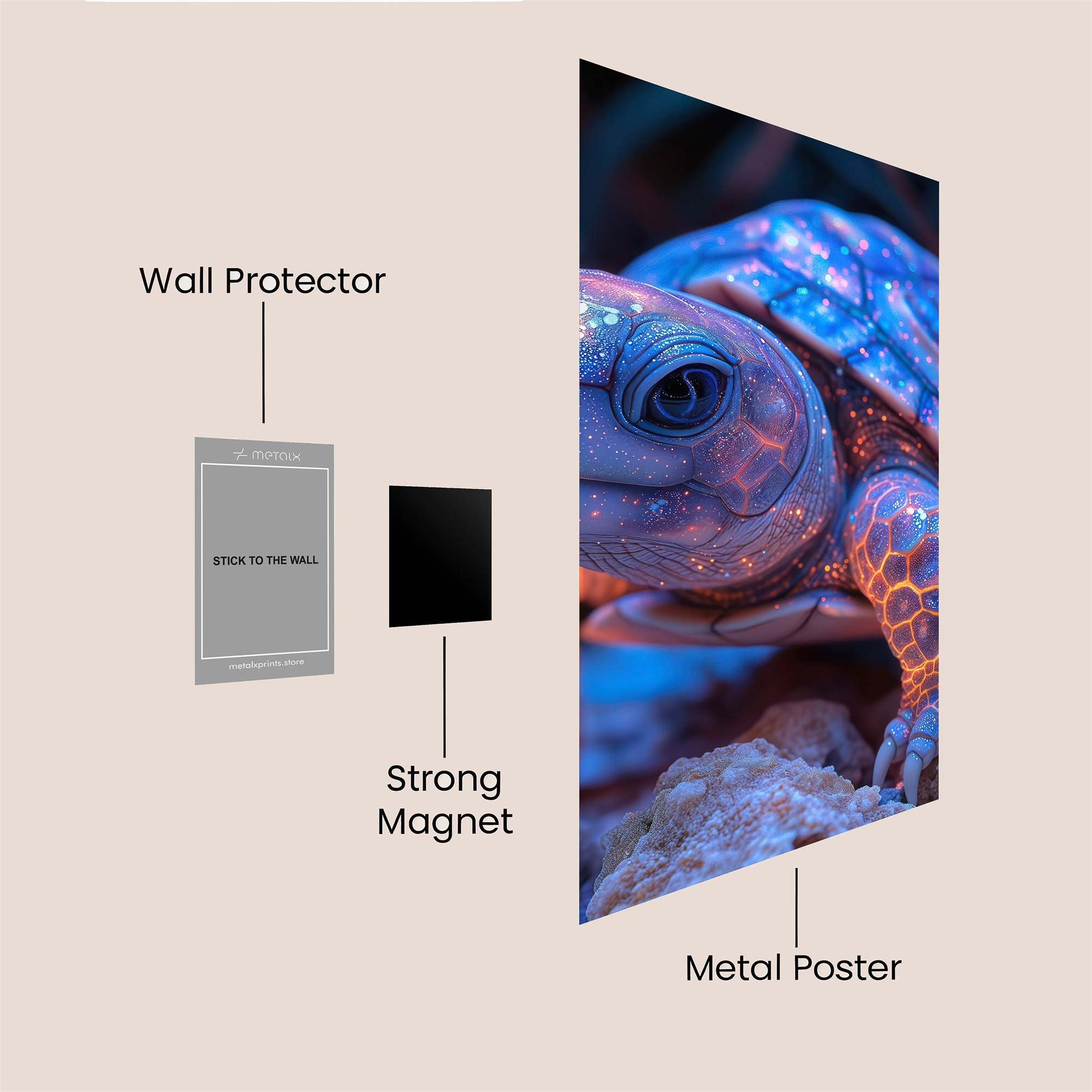 Galactic Tortoise Safe Wall Magnetic / M