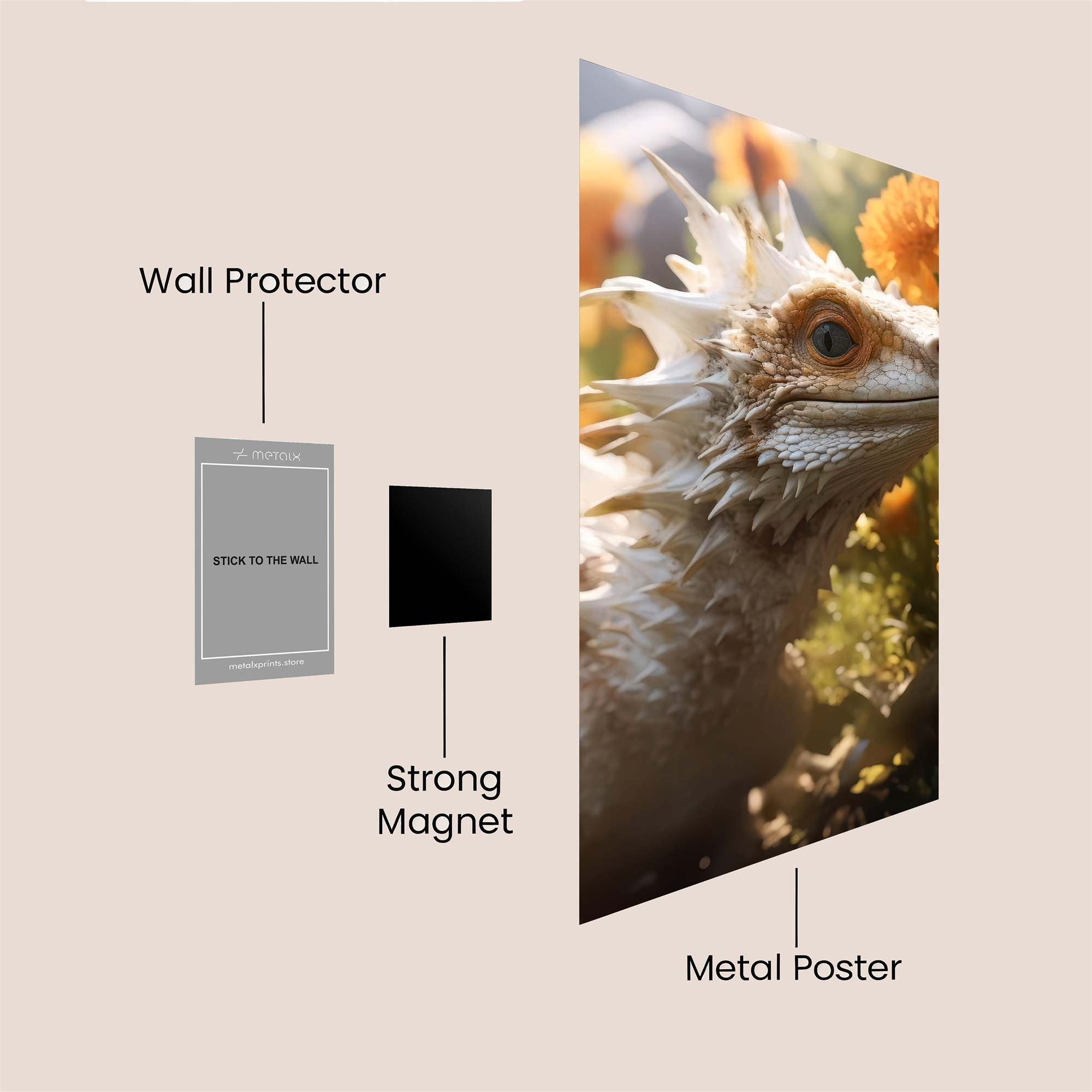 Dragon Delight Safe Wall Magnetic / M