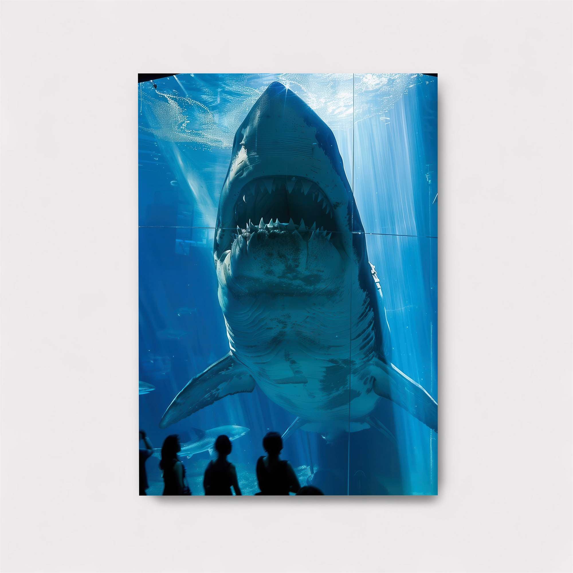 Shark Majesty Safe Wall Magnetic / M