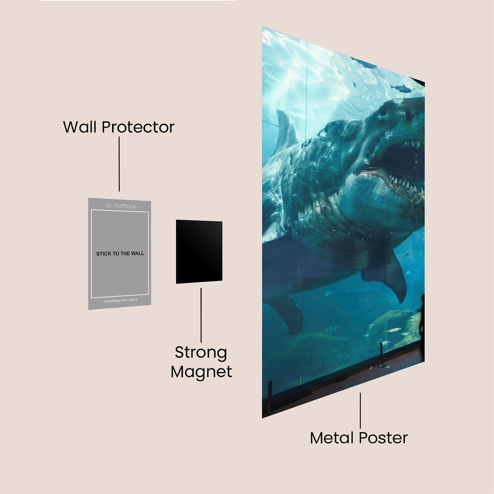 Shark Majesty Safe Wall Magnetic / M