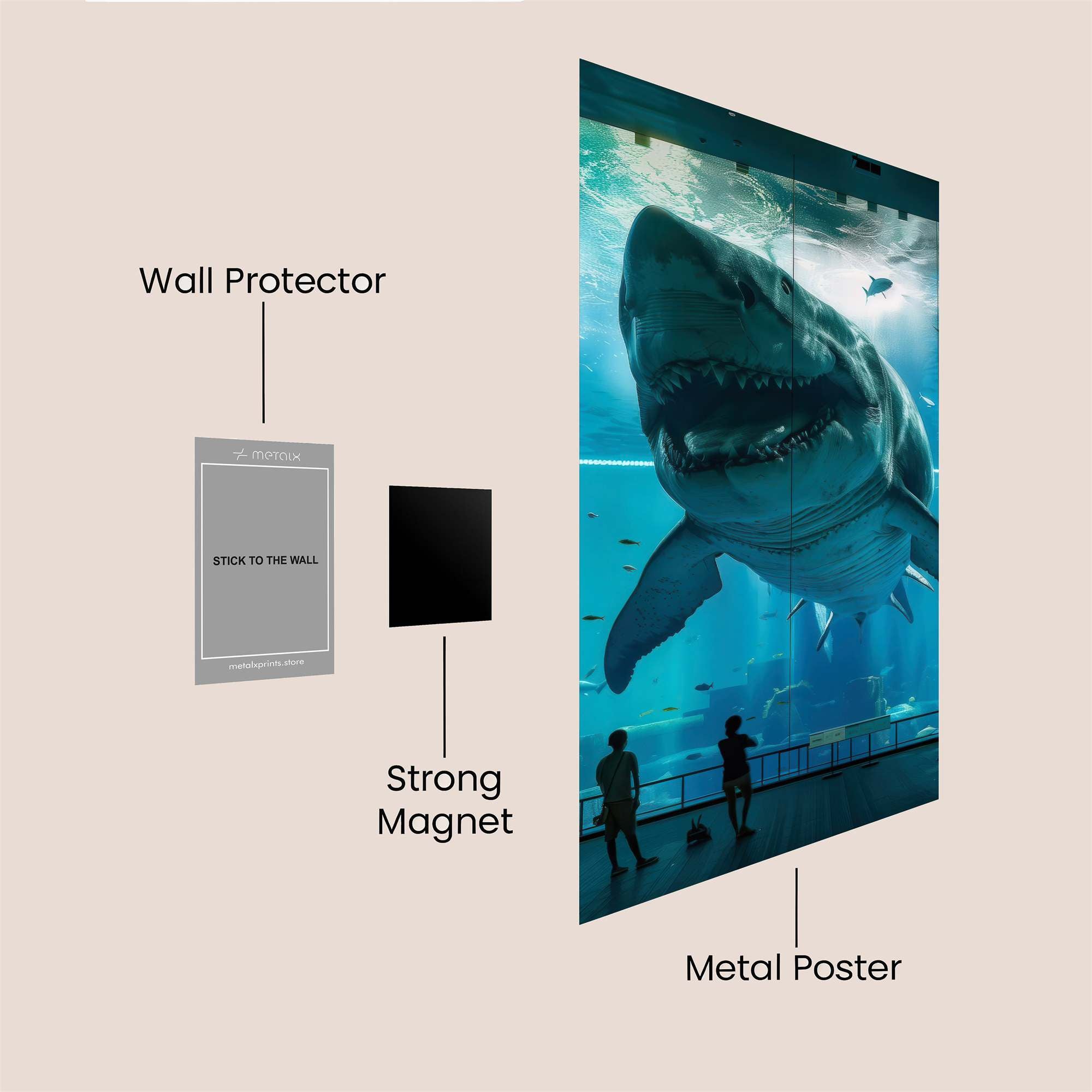 Shark Awe Safe Wall Magnetic / M