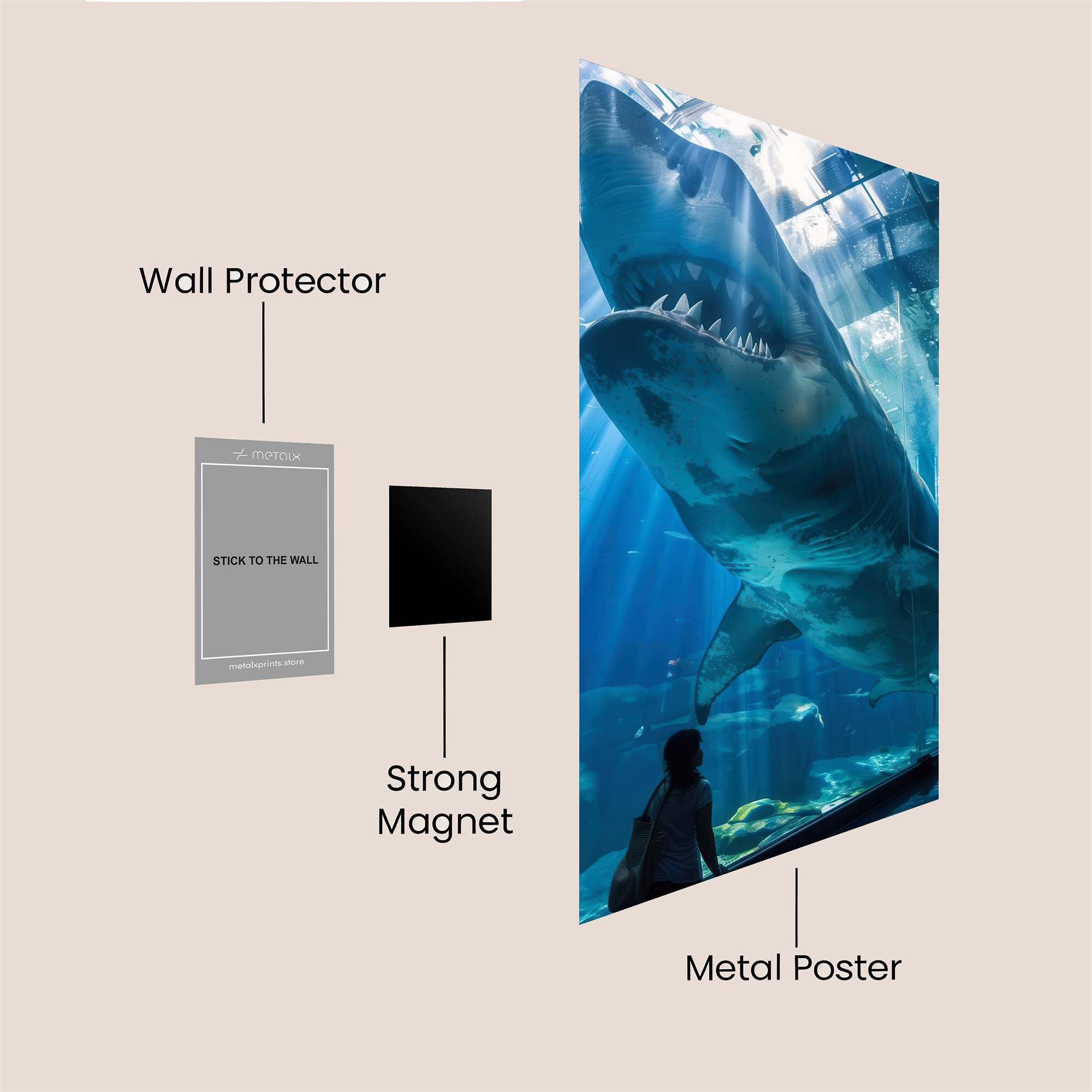 Shark Majesty Safe Wall Magnetic / M