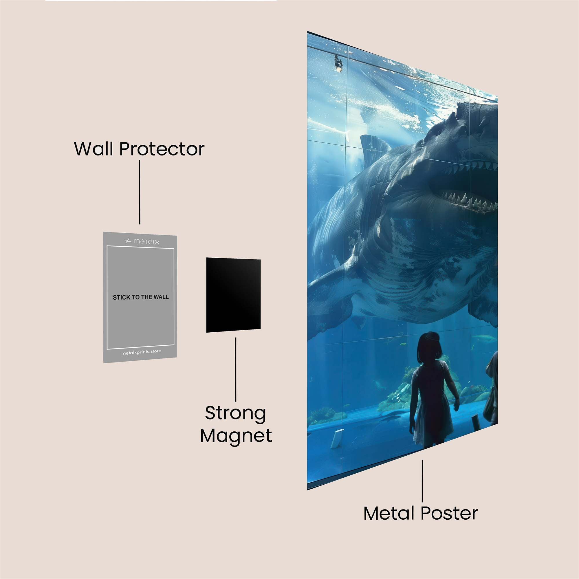 Shark Majesty Safe Wall Magnetic / M