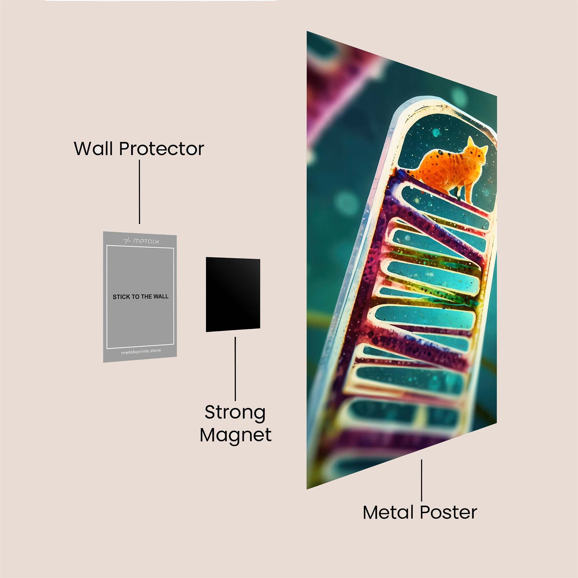 Cat Symmetry Safe Wall Magnetic / M