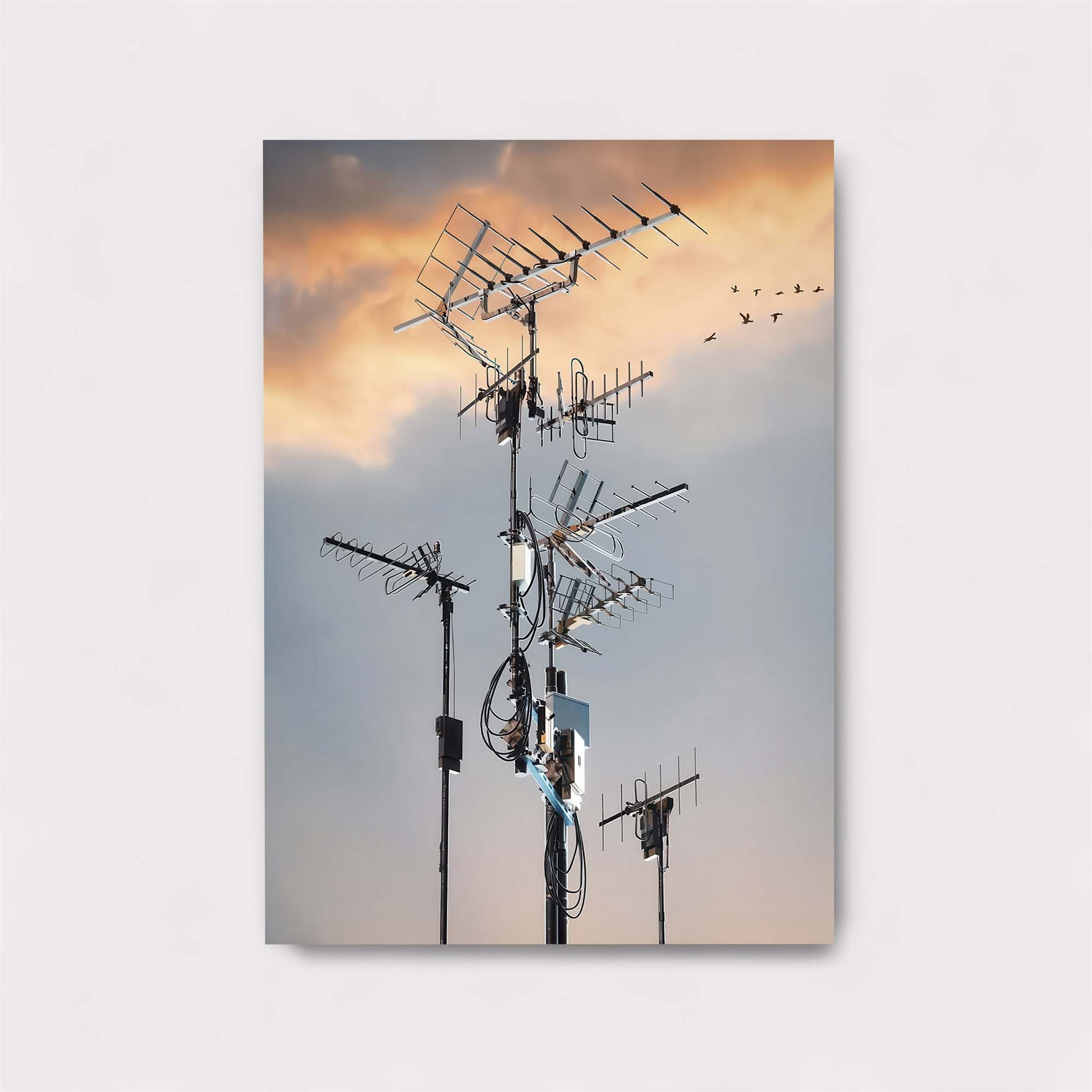 Antenna Serenade Safe Wall Magnetic / M