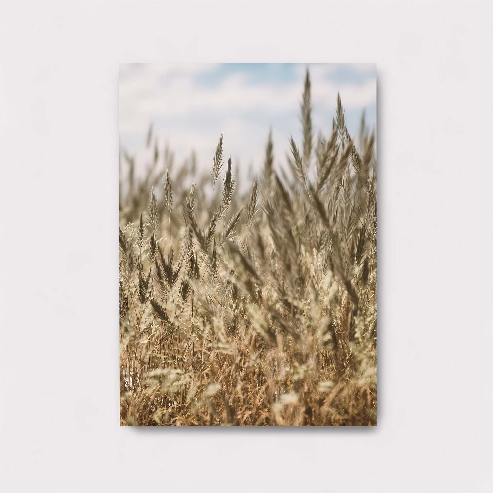 Golden Serenade Safe Wall Magnetic / M