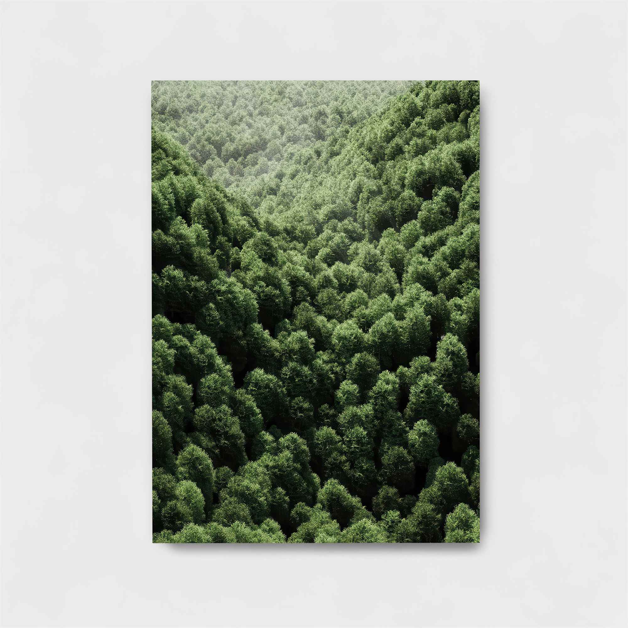 Verdant Whisper Safe Wall Magnetic / M