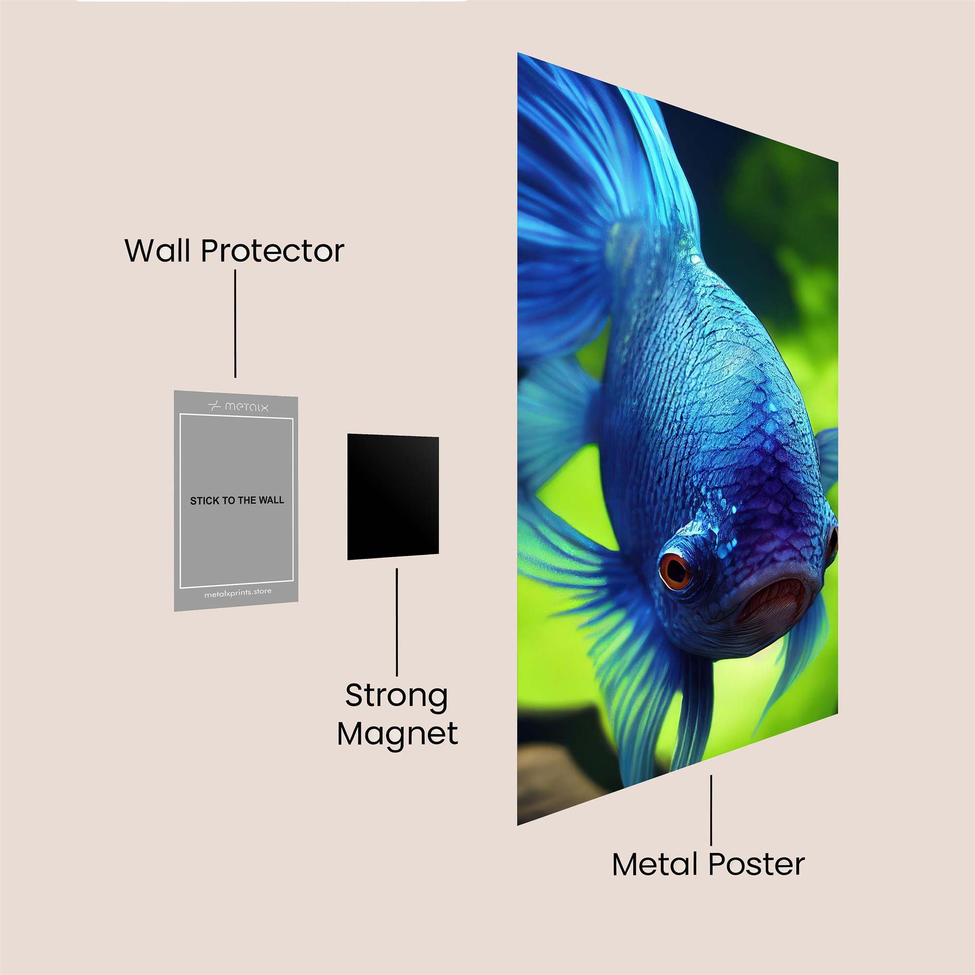 Aqua Majesty Safe Wall Magnetic / M