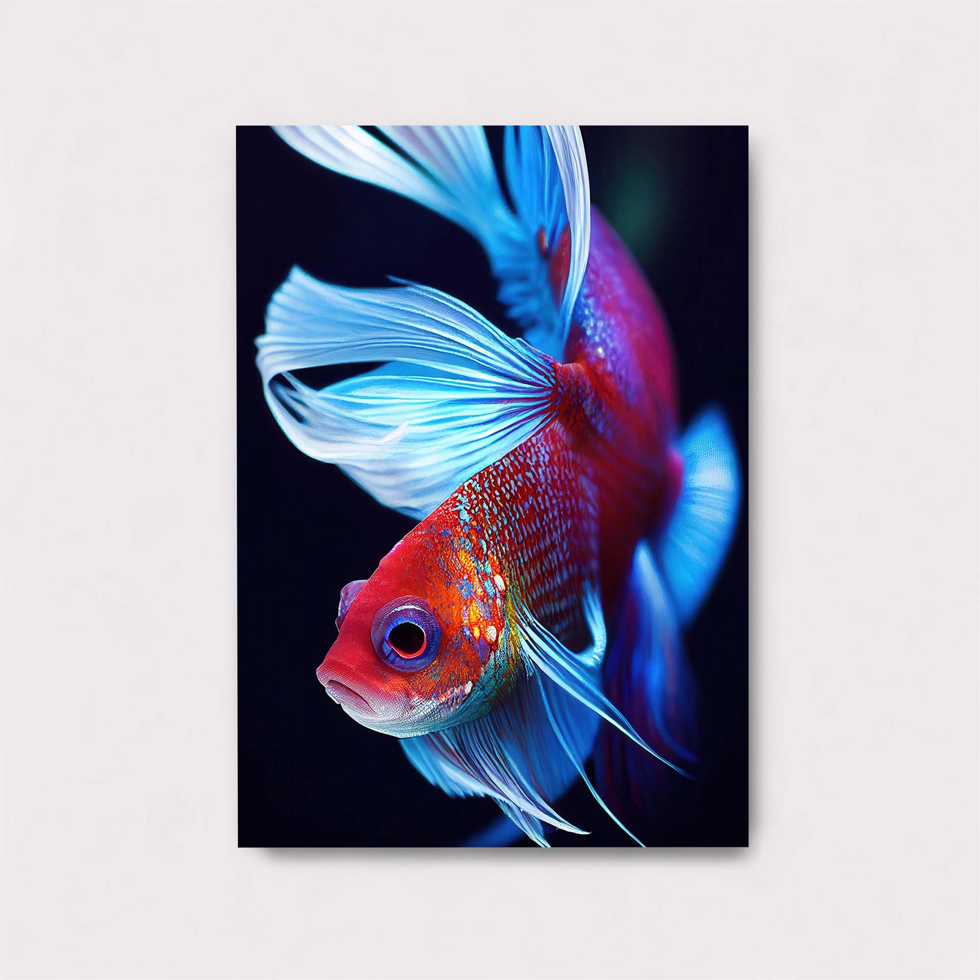Betta Radiance Safe Wall Magnetic / M