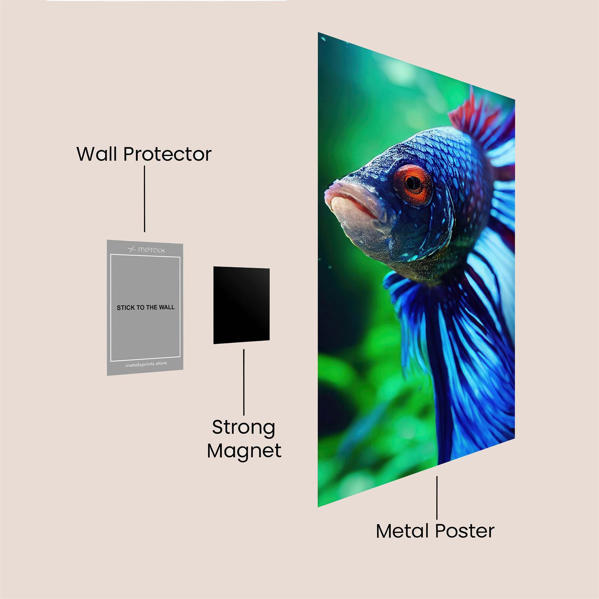 Betta Vibrance Safe Wall Magnetic / M