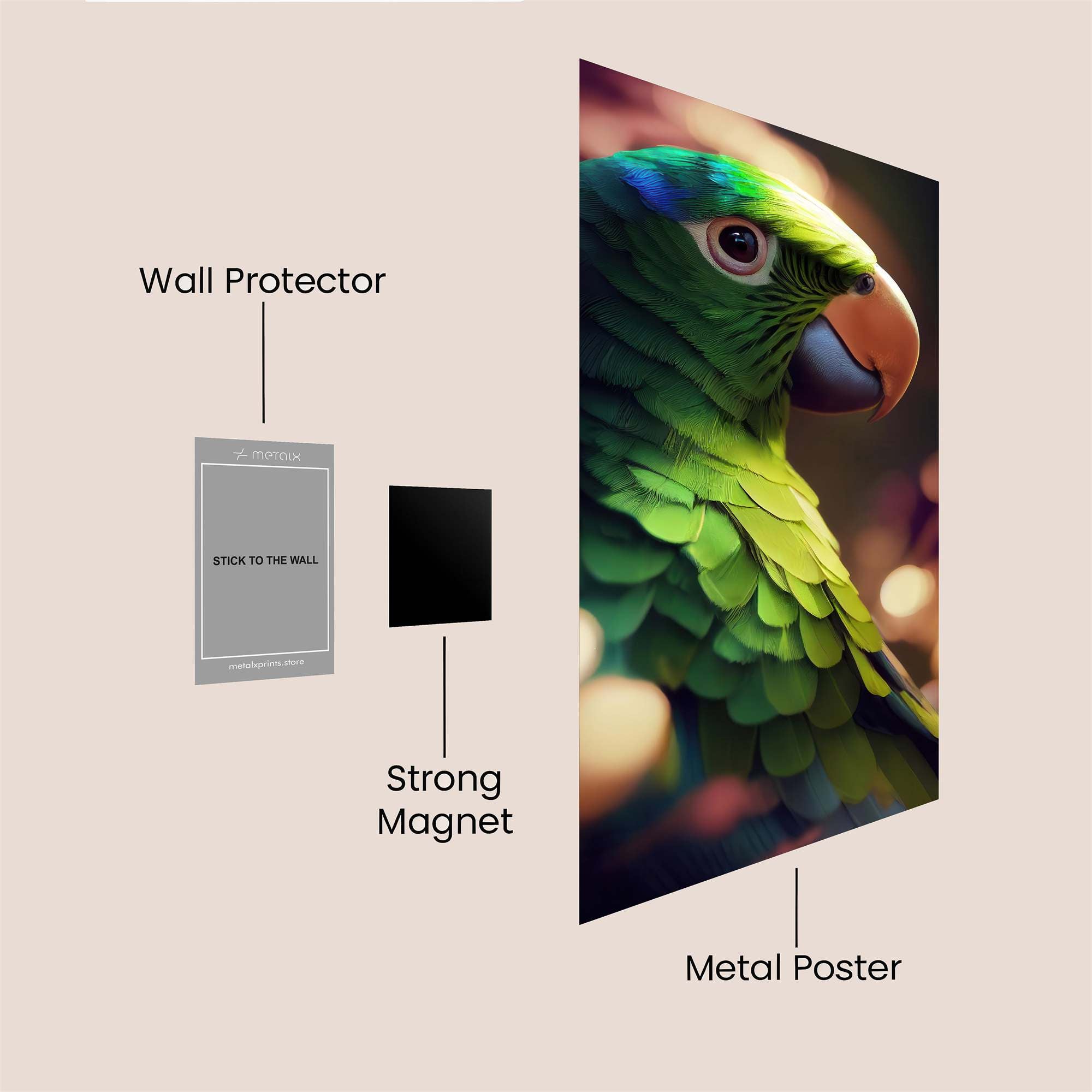 Parrot Luminescence Safe Wall Magnetic / M