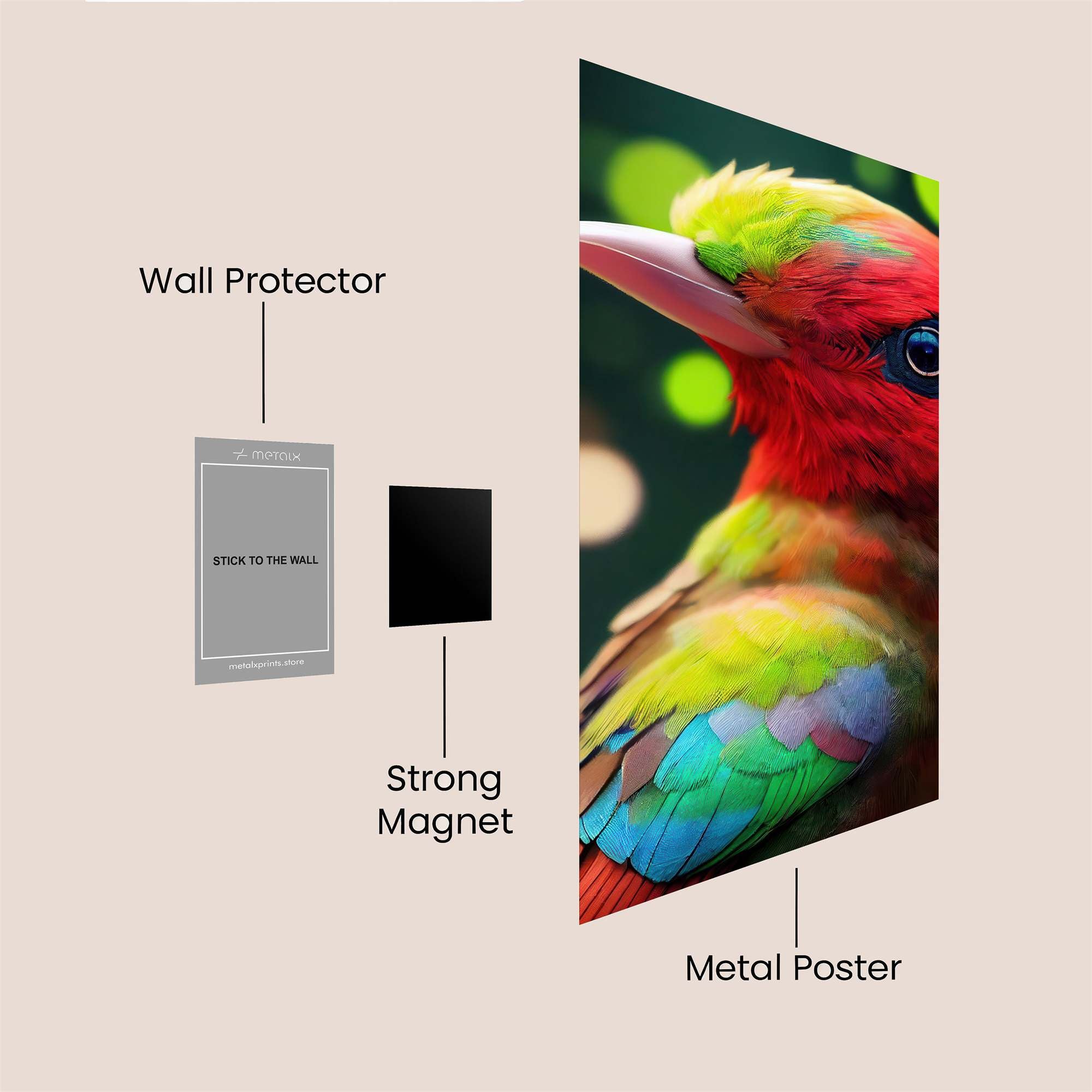 Vivid Splendor Safe Wall Magnetic / M