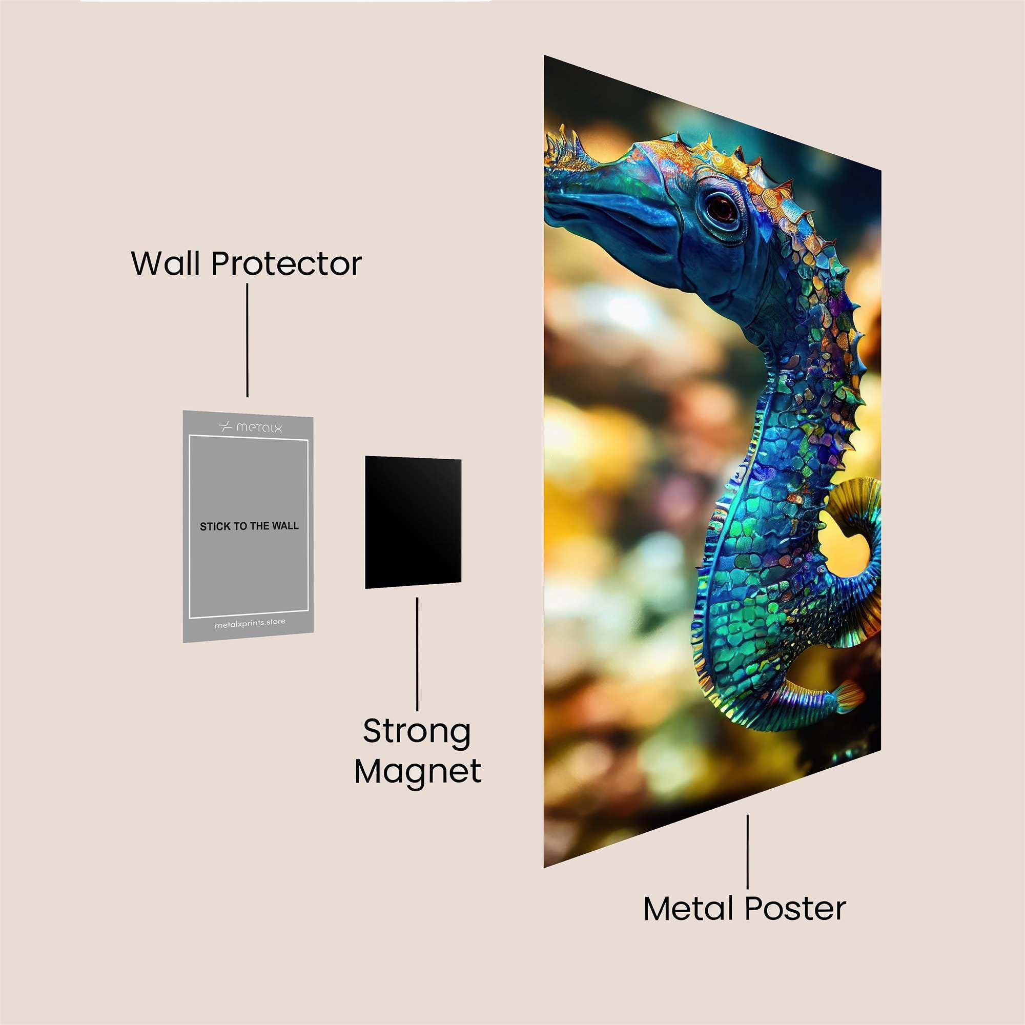 Seahorse Spectacle Safe Wall Magnetic / M