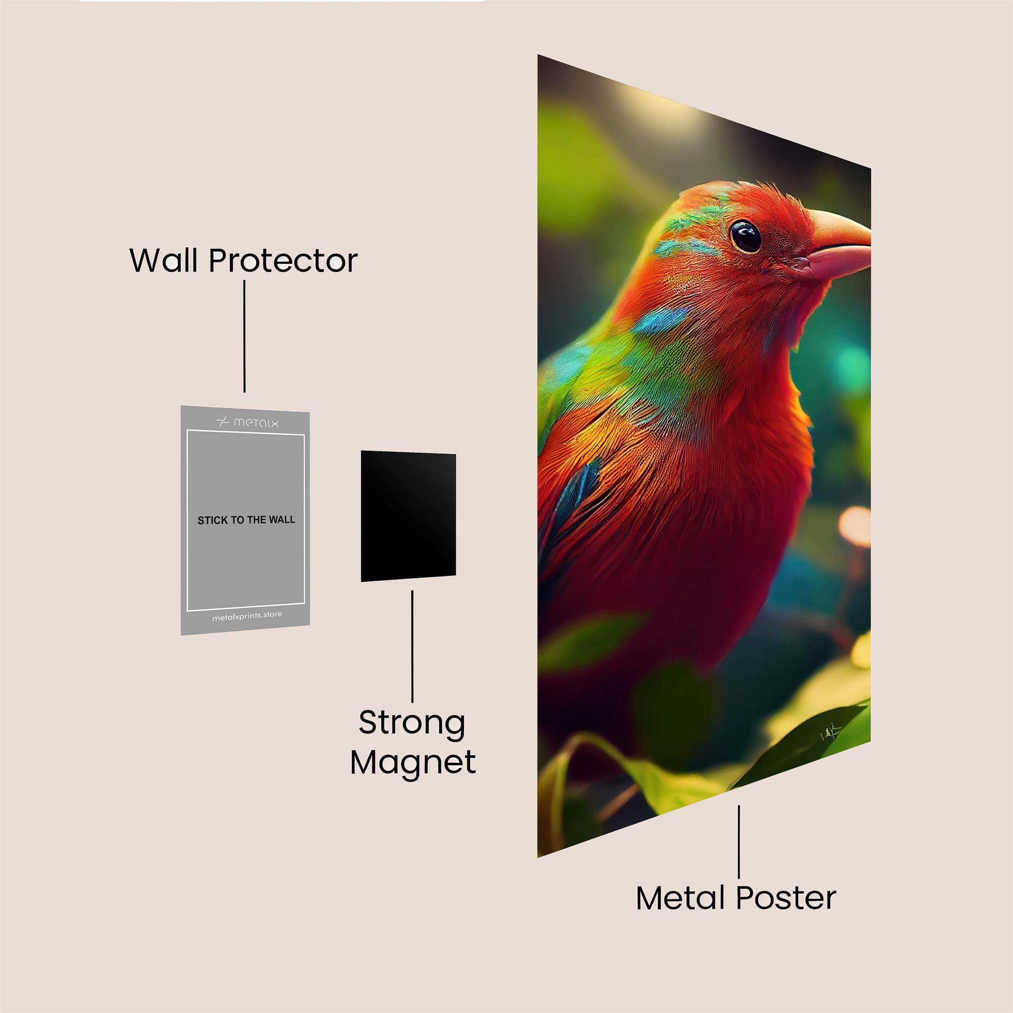 Rainbow Serenity Safe Wall Magnetic / M