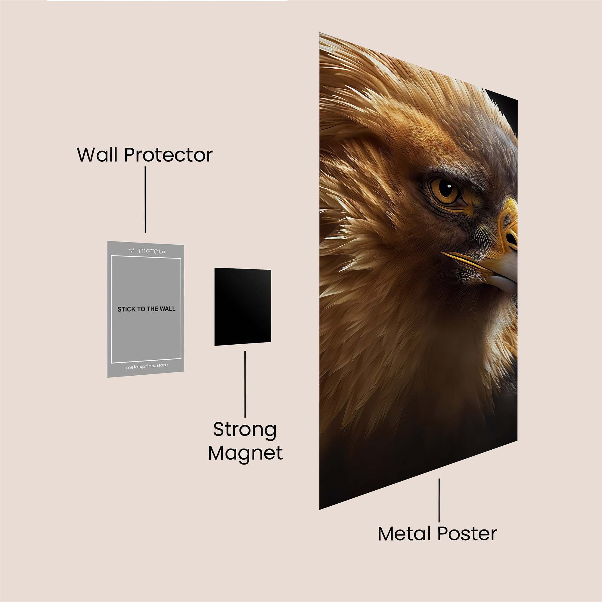 Eagle Majesty Safe Wall Magnetic / M
