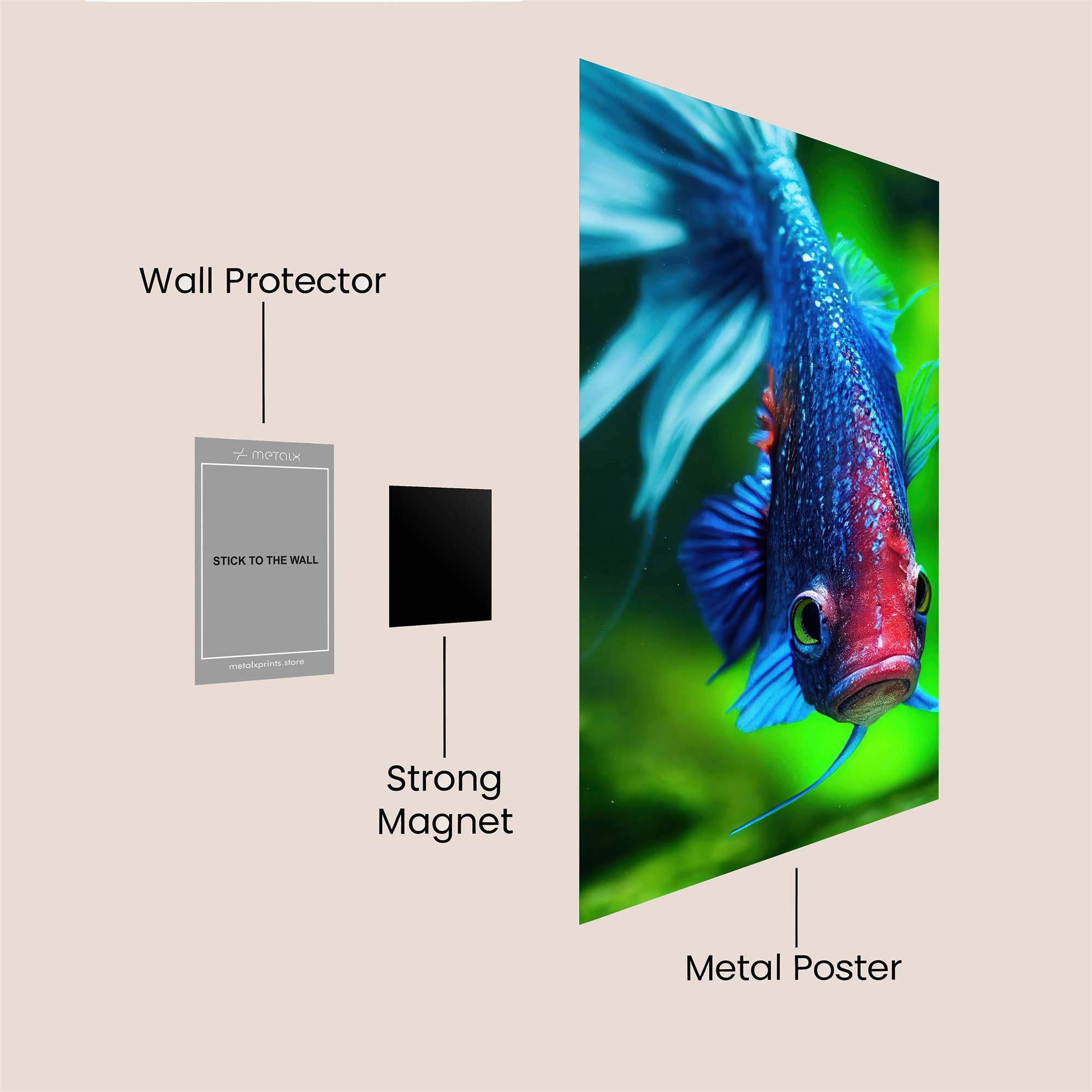 Betta Vividness Safe Wall Magnetic / M