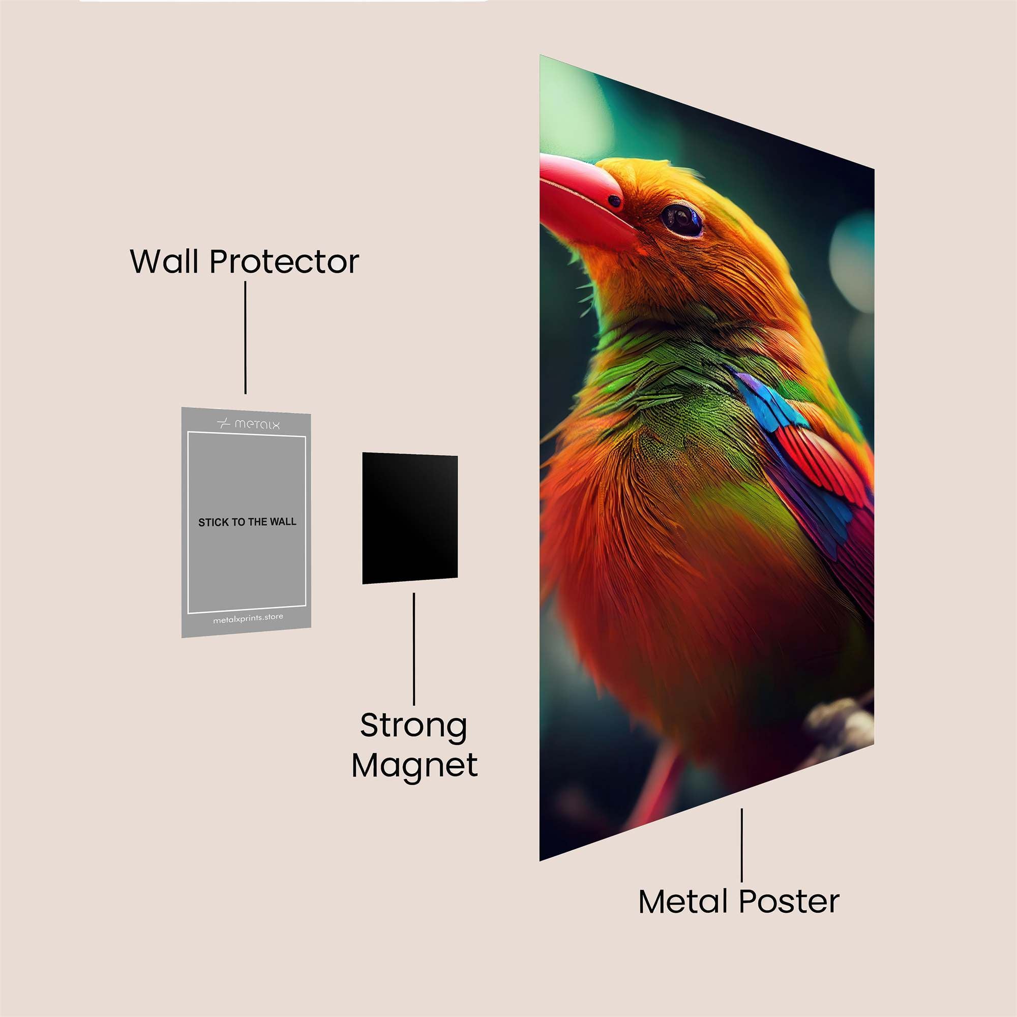 Vibrant Spectacle Safe Wall Magnetic / M