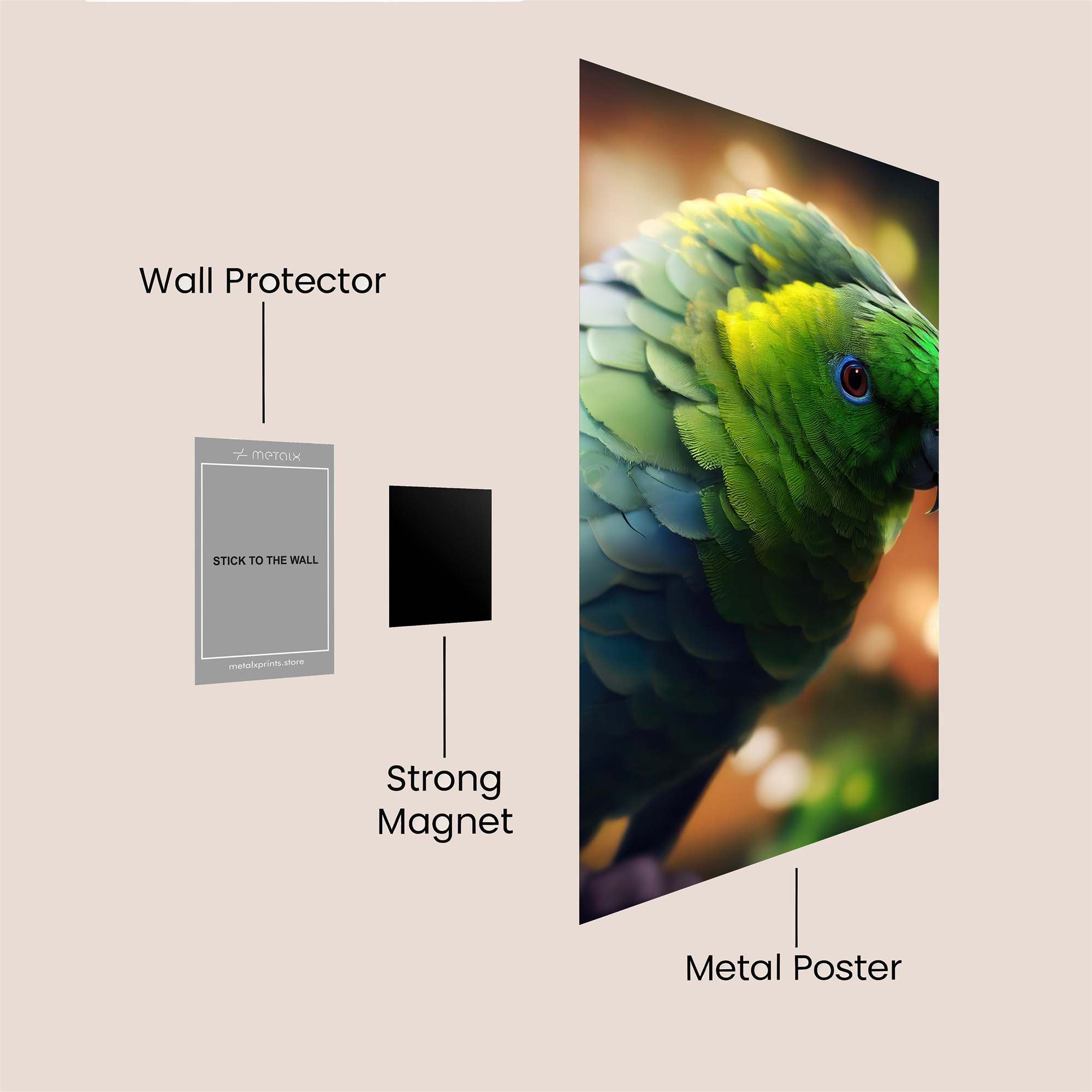 Parrot Serenity Safe Wall Magnetic / M