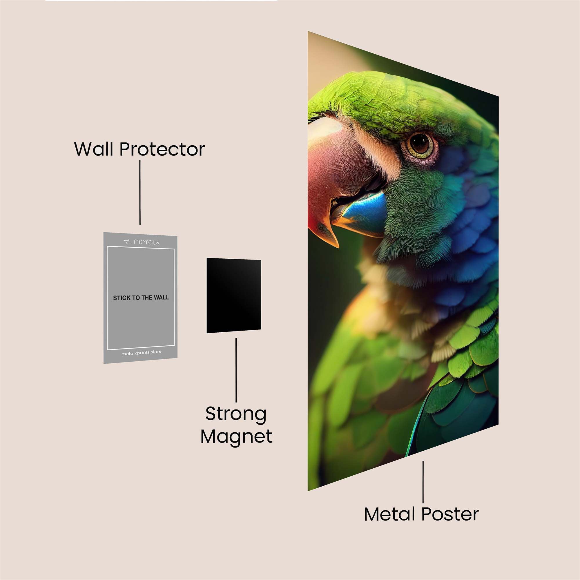 Parrot Vibrance Safe Wall Magnetic / M