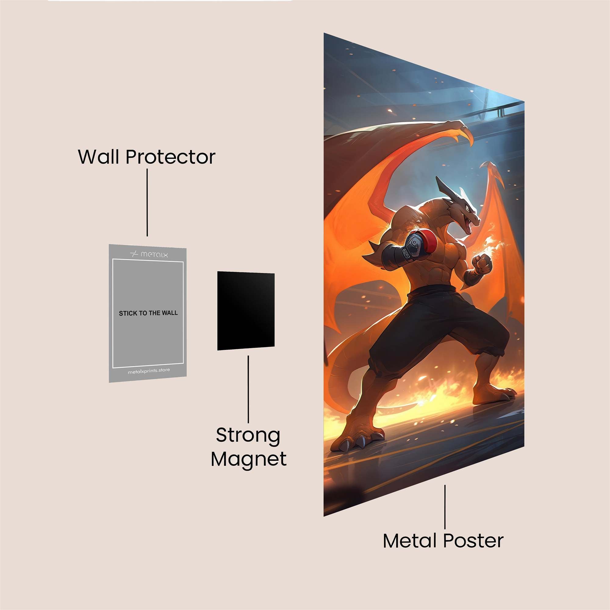 Charizard Fury Safe Wall Magnetic / M