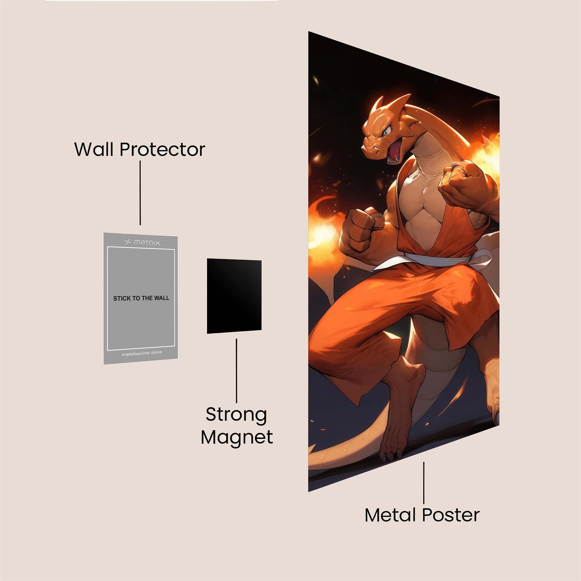 Charizard Blaze Safe Wall Magnetic / M
