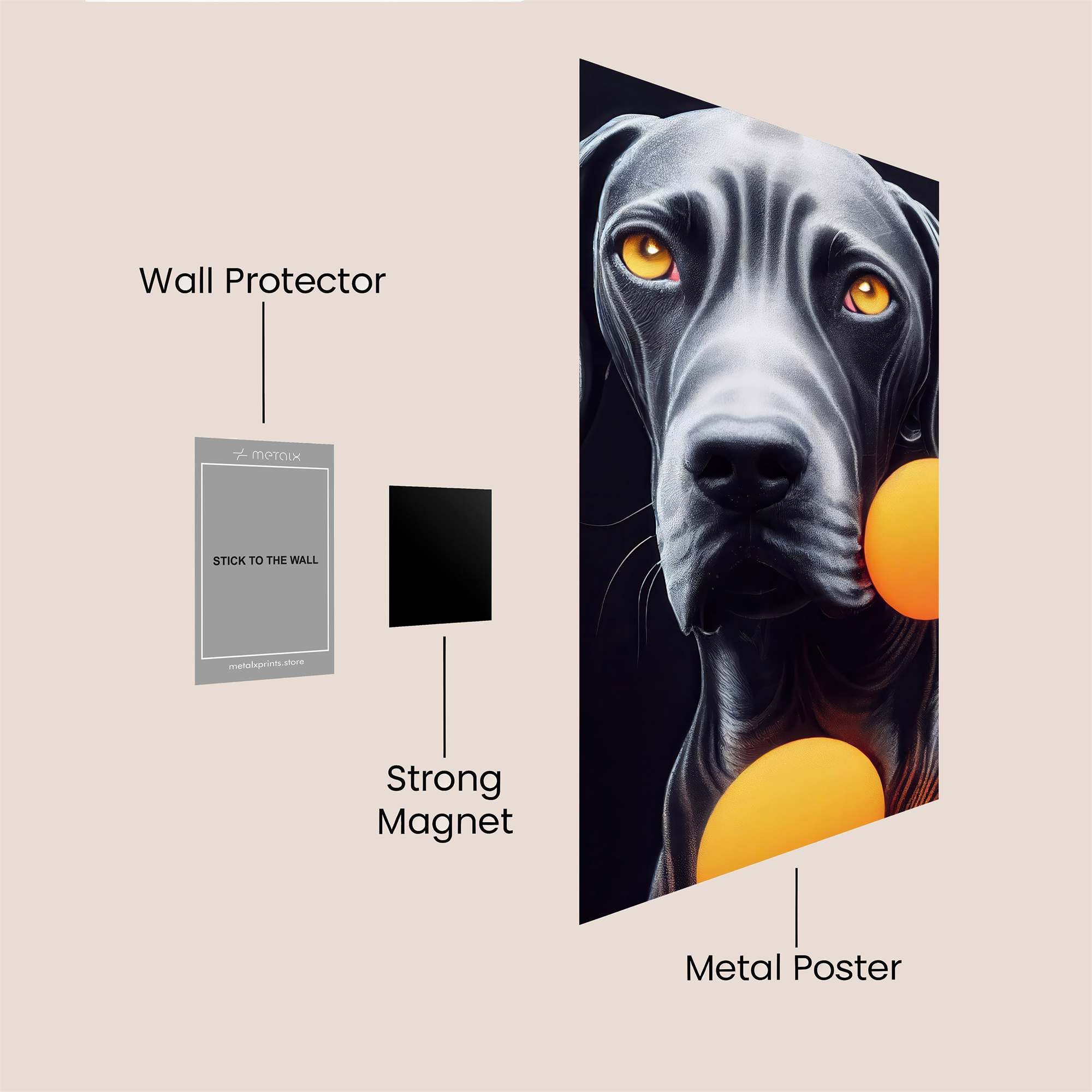 Canine Glow Safe Wall Magnetic / M