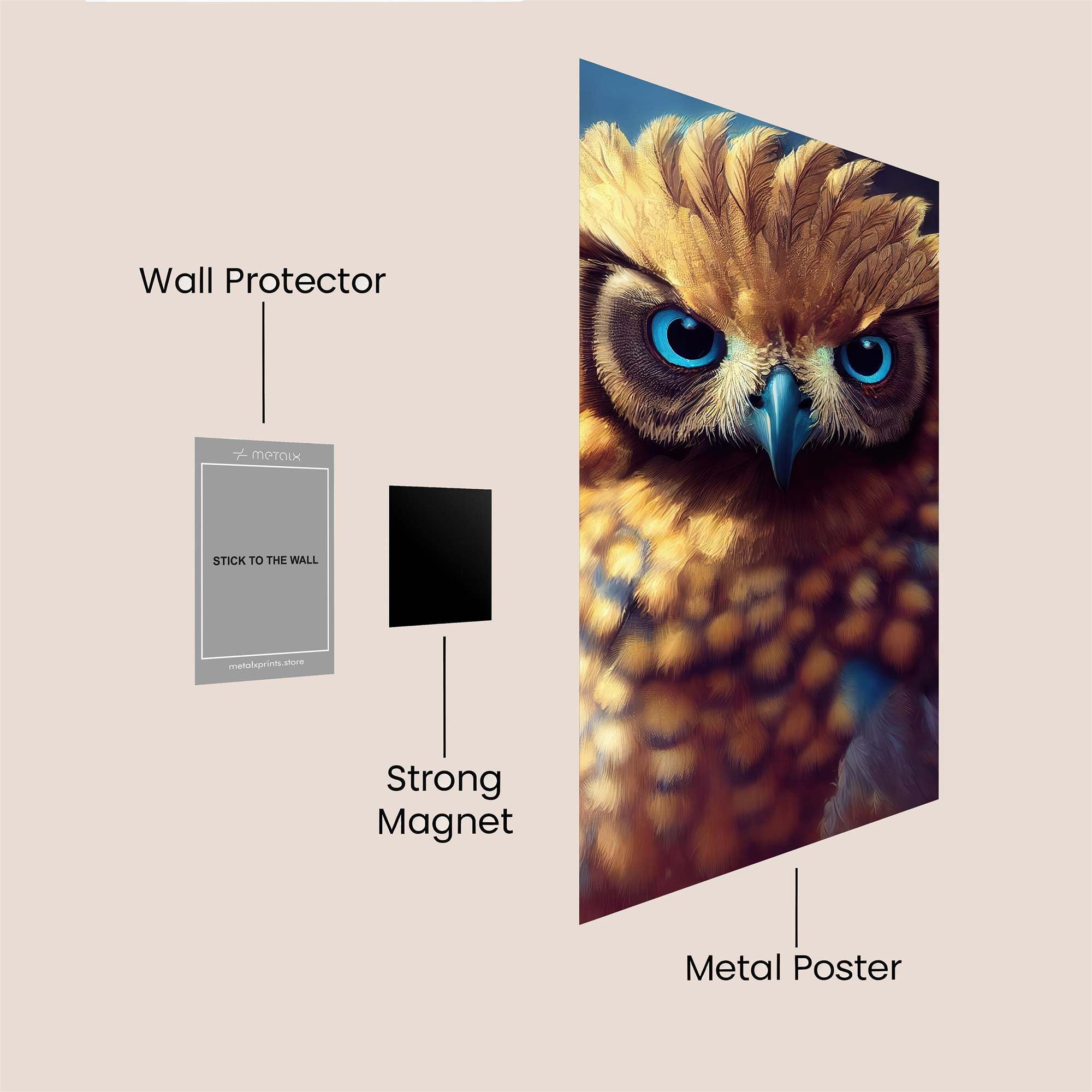Owl Gaze Safe Wall Magnetic / M