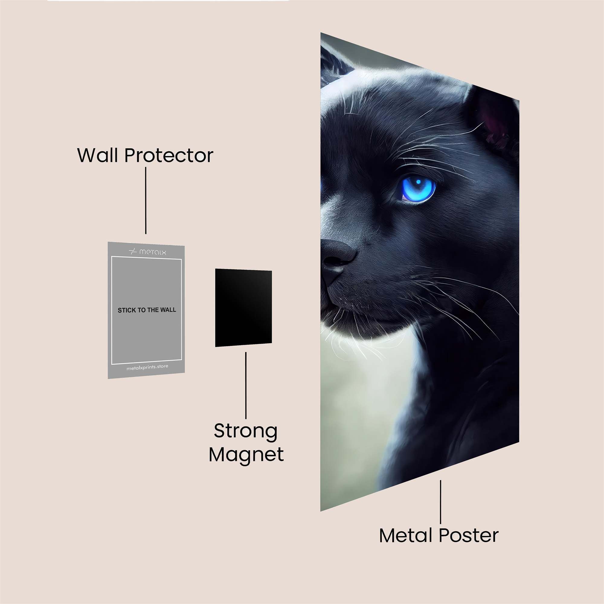 Enchanted Gaze Safe Wall Magnetic / M