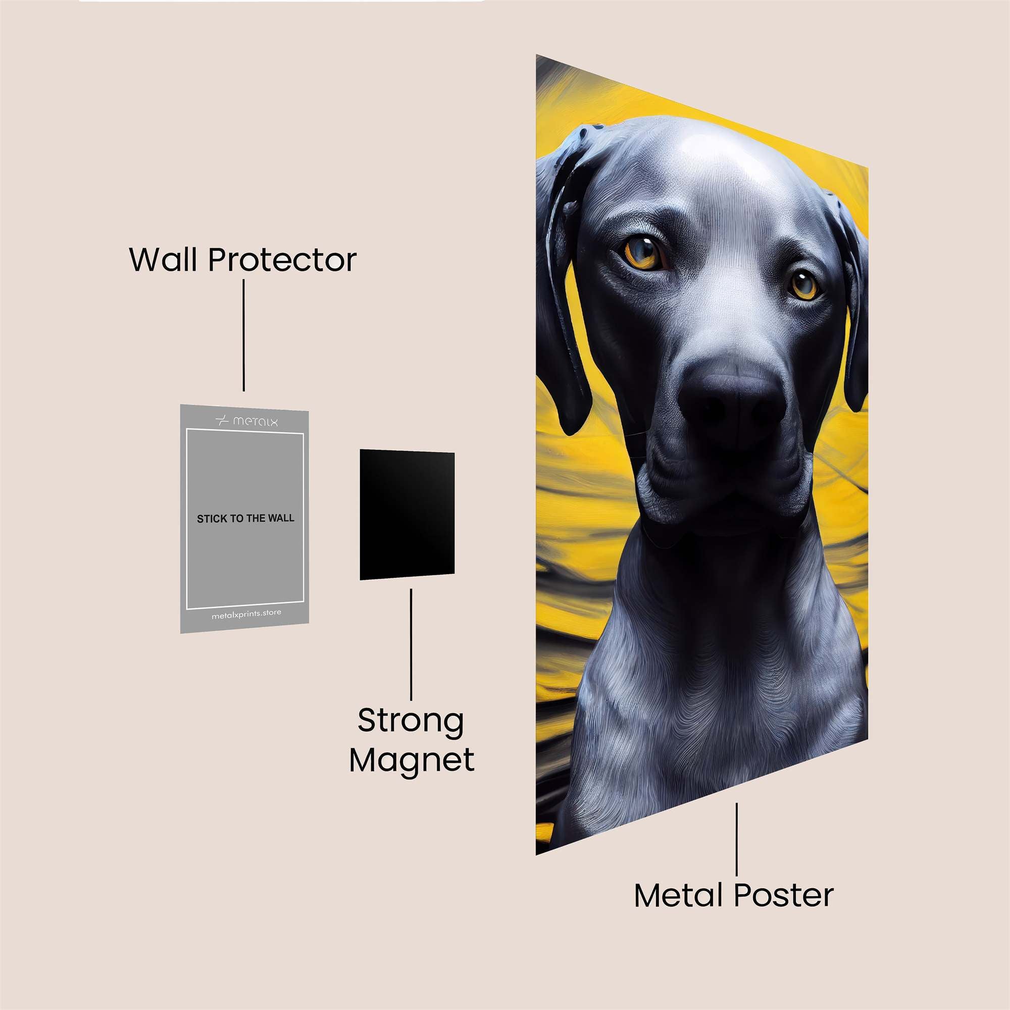 Canine Vortex Safe Wall Magnetic / M