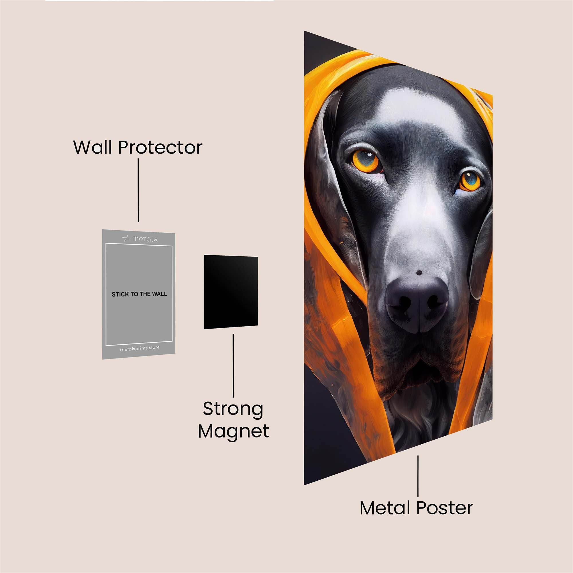 Veiled Gaze Safe Wall Magnetic / M