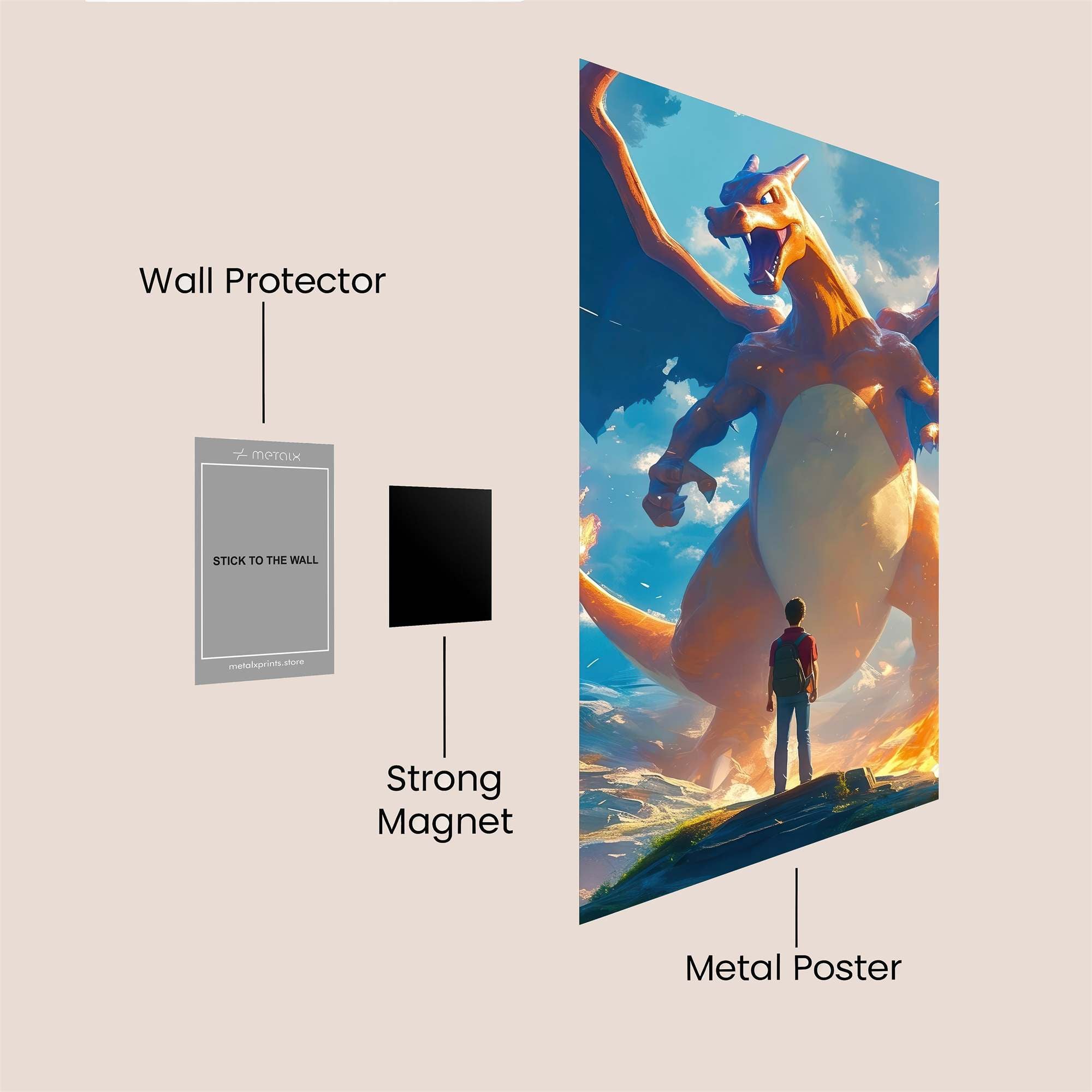 Charizard Majesty Safe Wall Magnetic / M