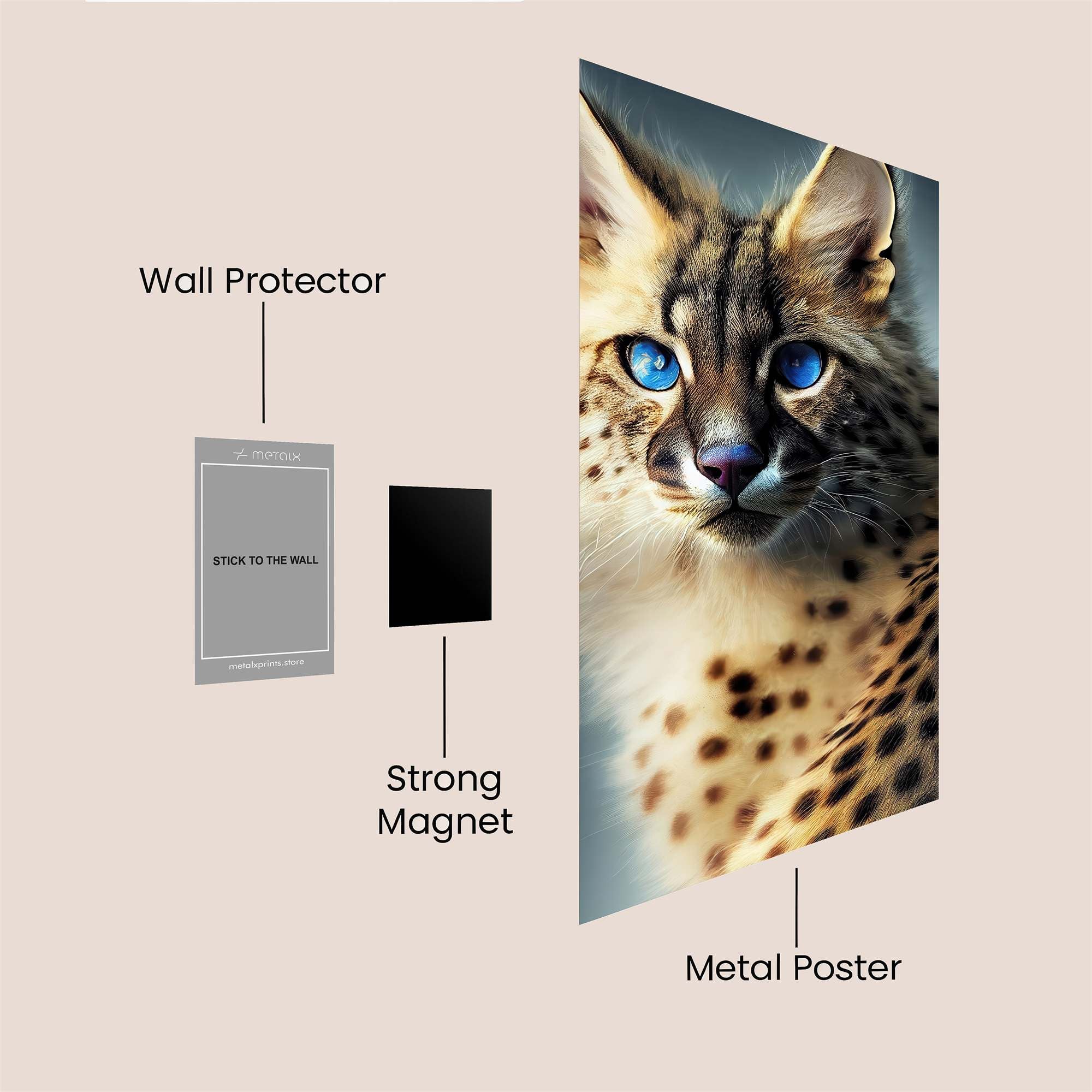 Wild Gaze Safe Wall Magnetic / M