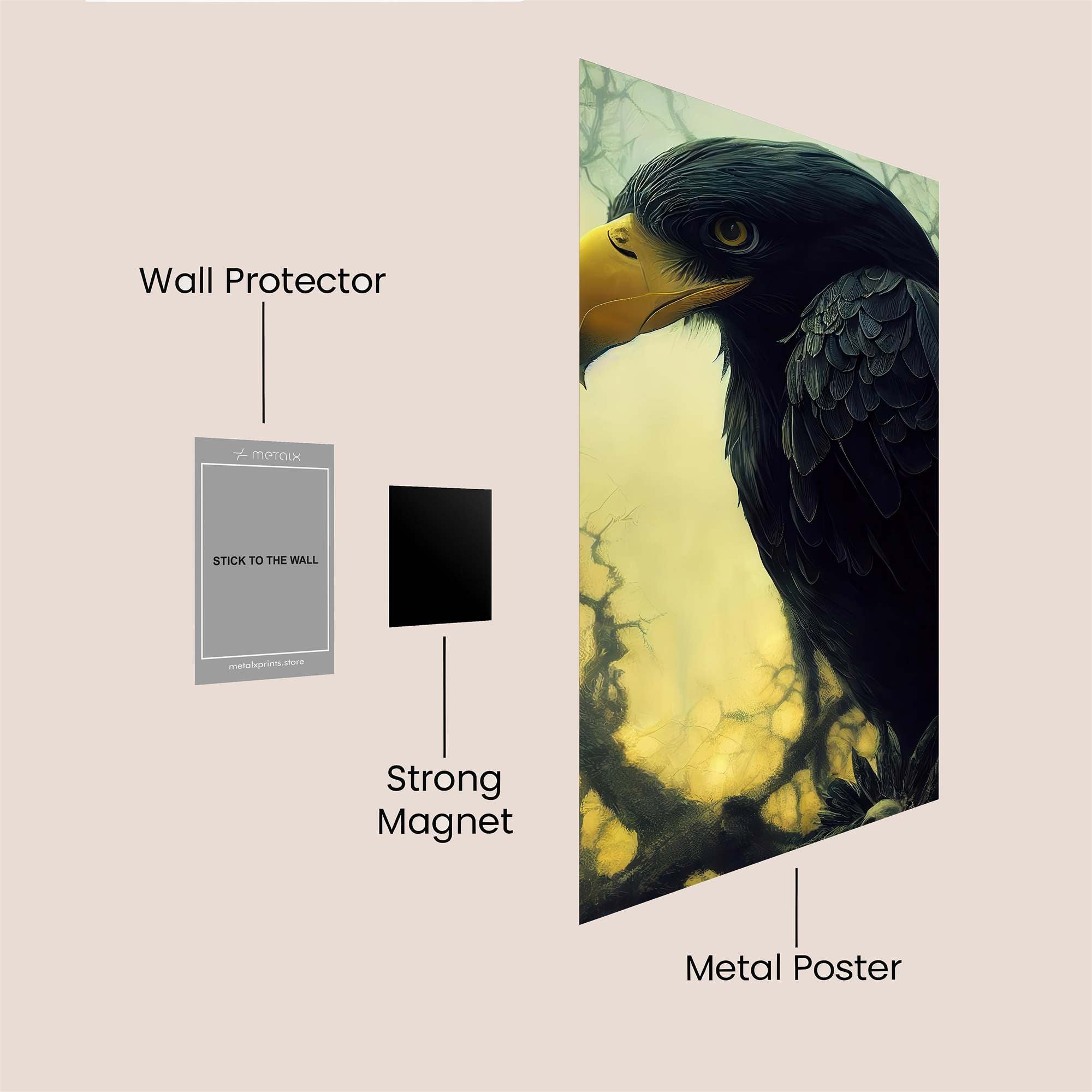 Eagle Enigma Safe Wall Magnetic / M