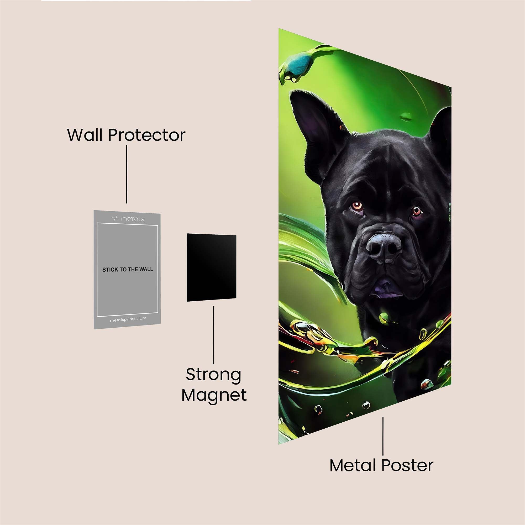 Canine Cosmic Safe Wall Magnetic / M