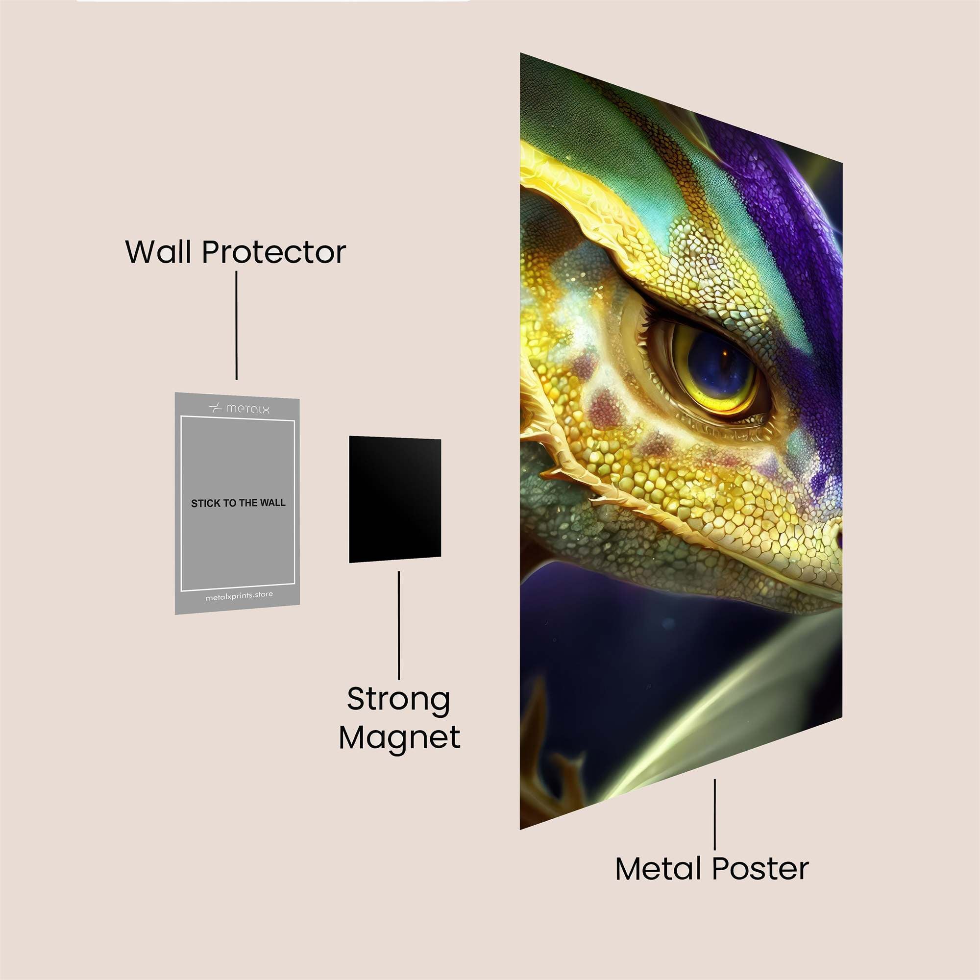 Dragon Whimsy Safe Wall Magnetic / M