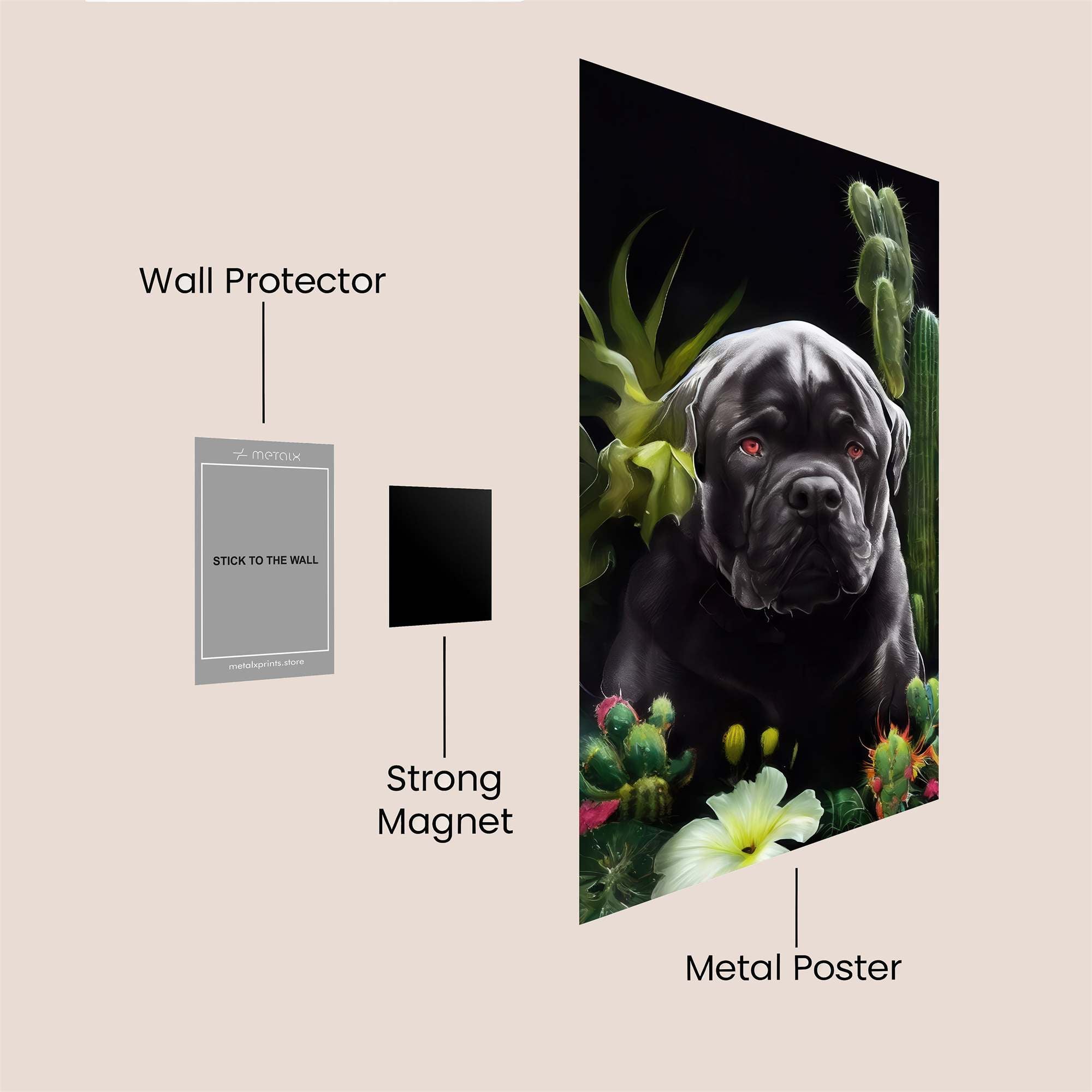 Mastiff Mystery Safe Wall Magnetic / M