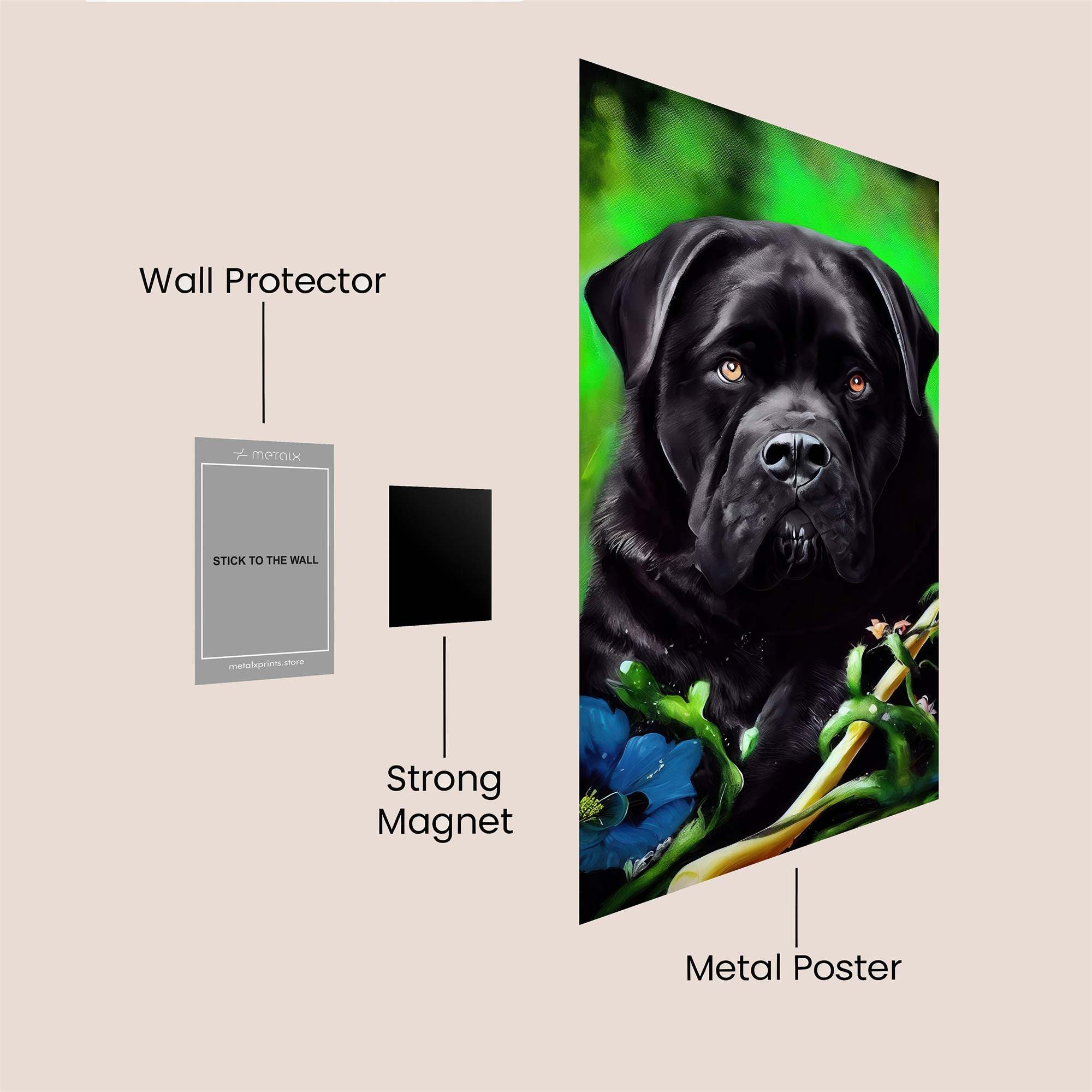 Mastiff Majesty Safe Wall Magnetic / M