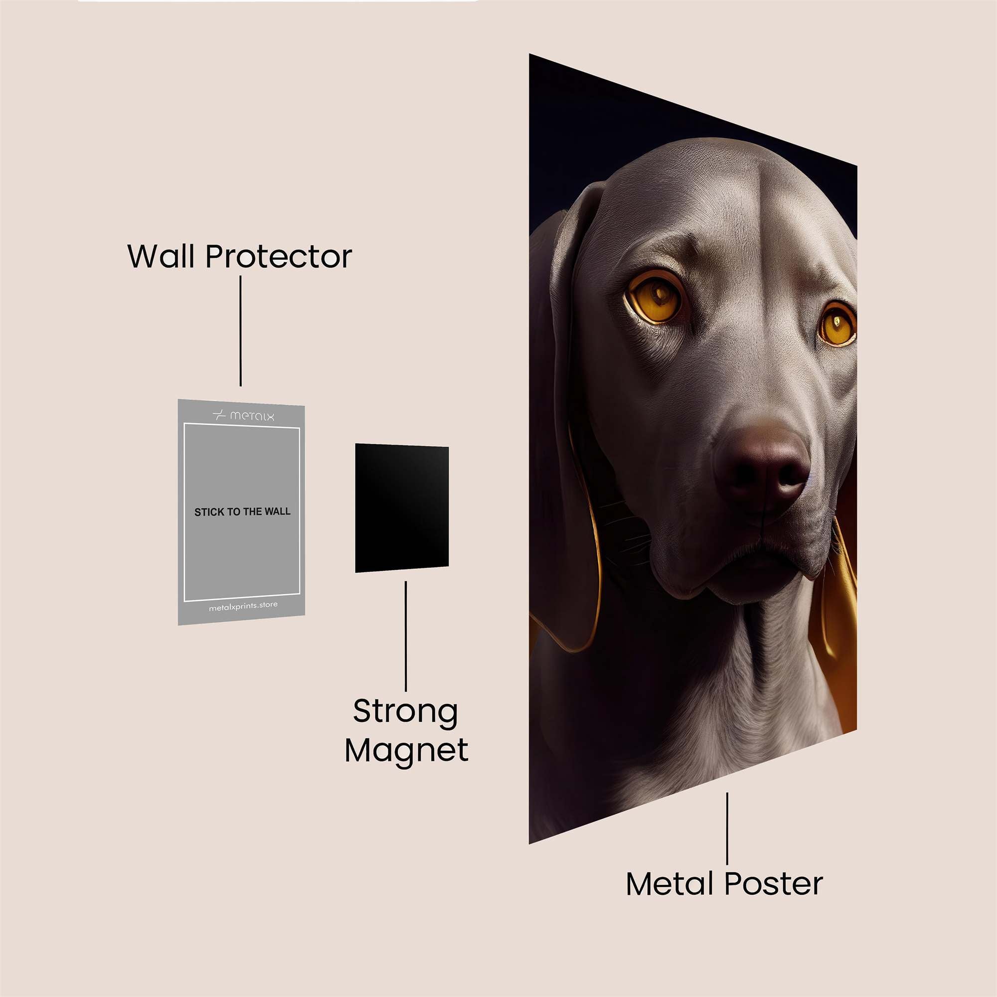 Weimaraner Wistful Safe Wall Magnetic / M