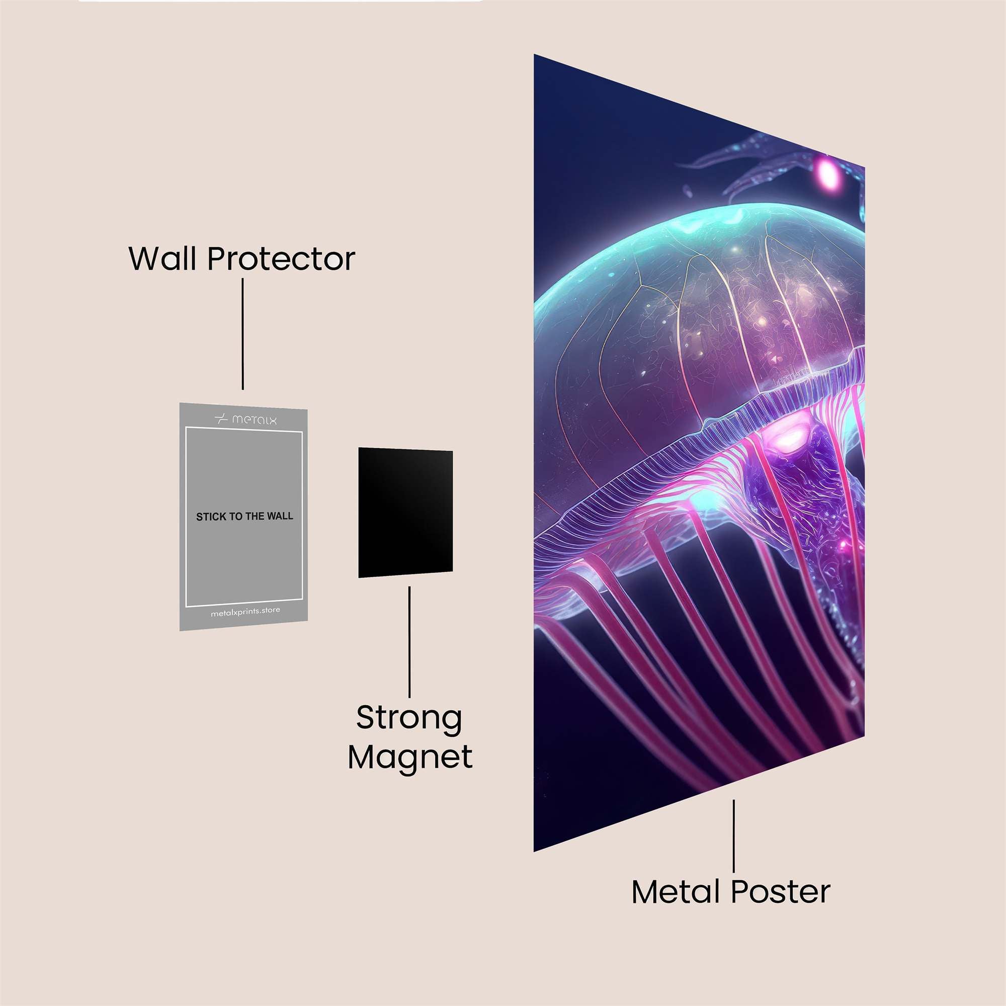 JellyDream Safe Wall Magnetic / M
