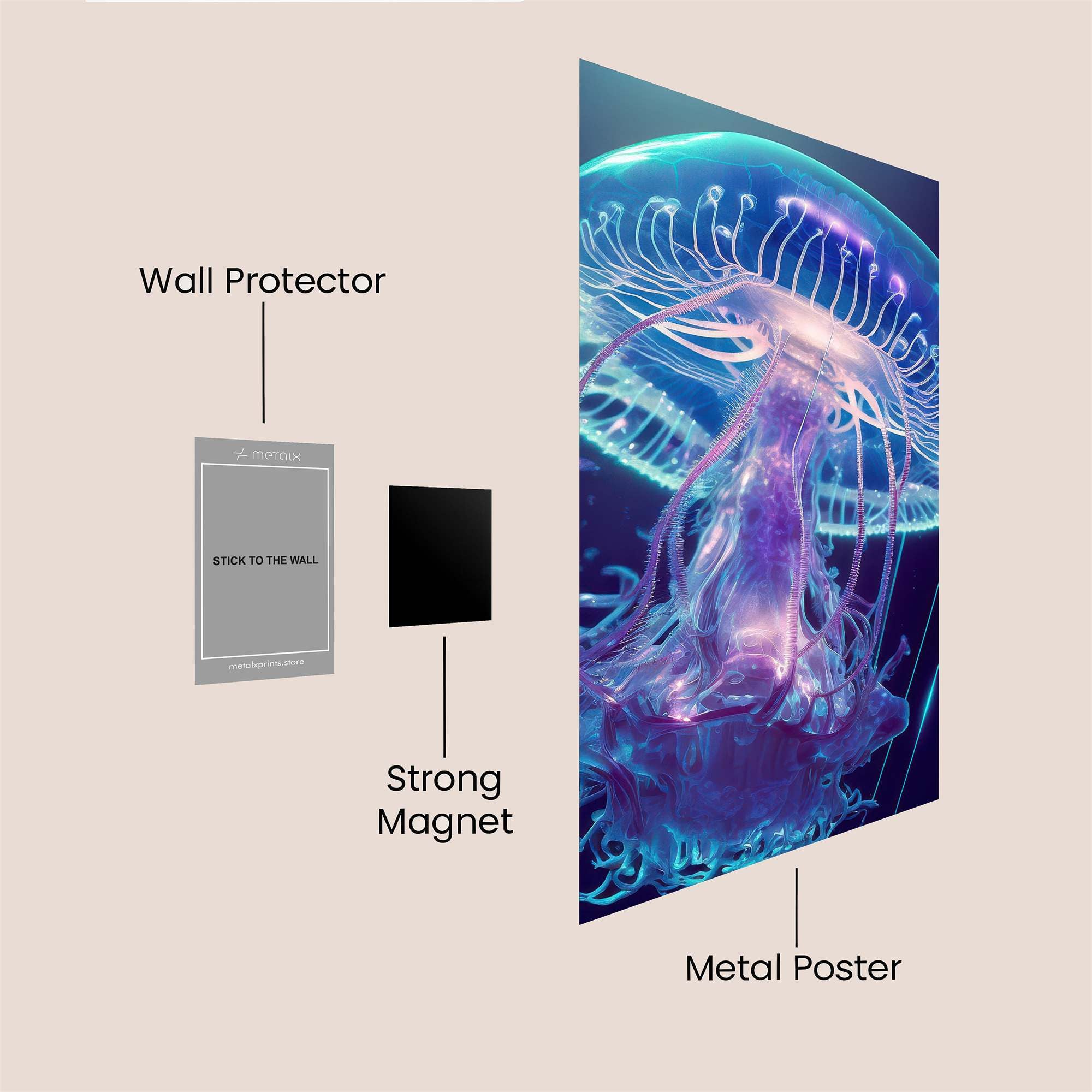 Jelly Dream Safe Wall Magnetic / M