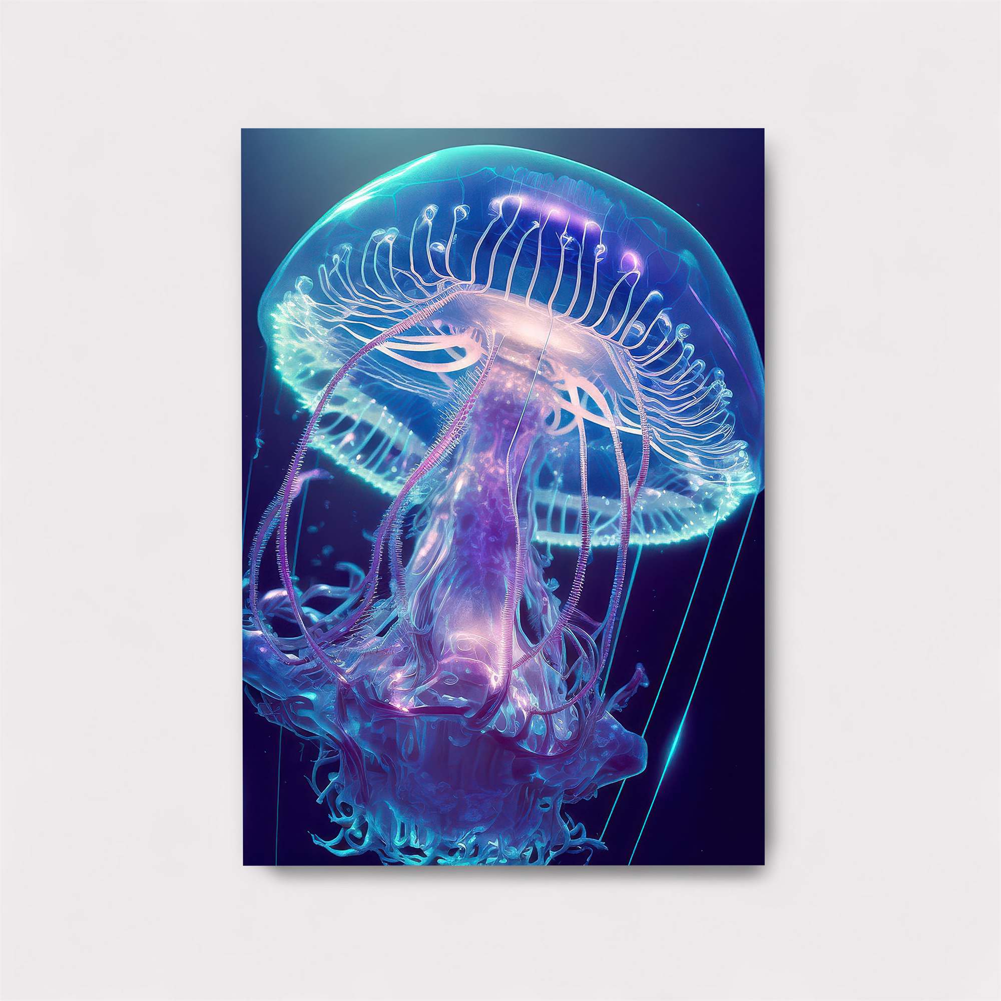 Jelly Dream Safe Wall Magnetic / M